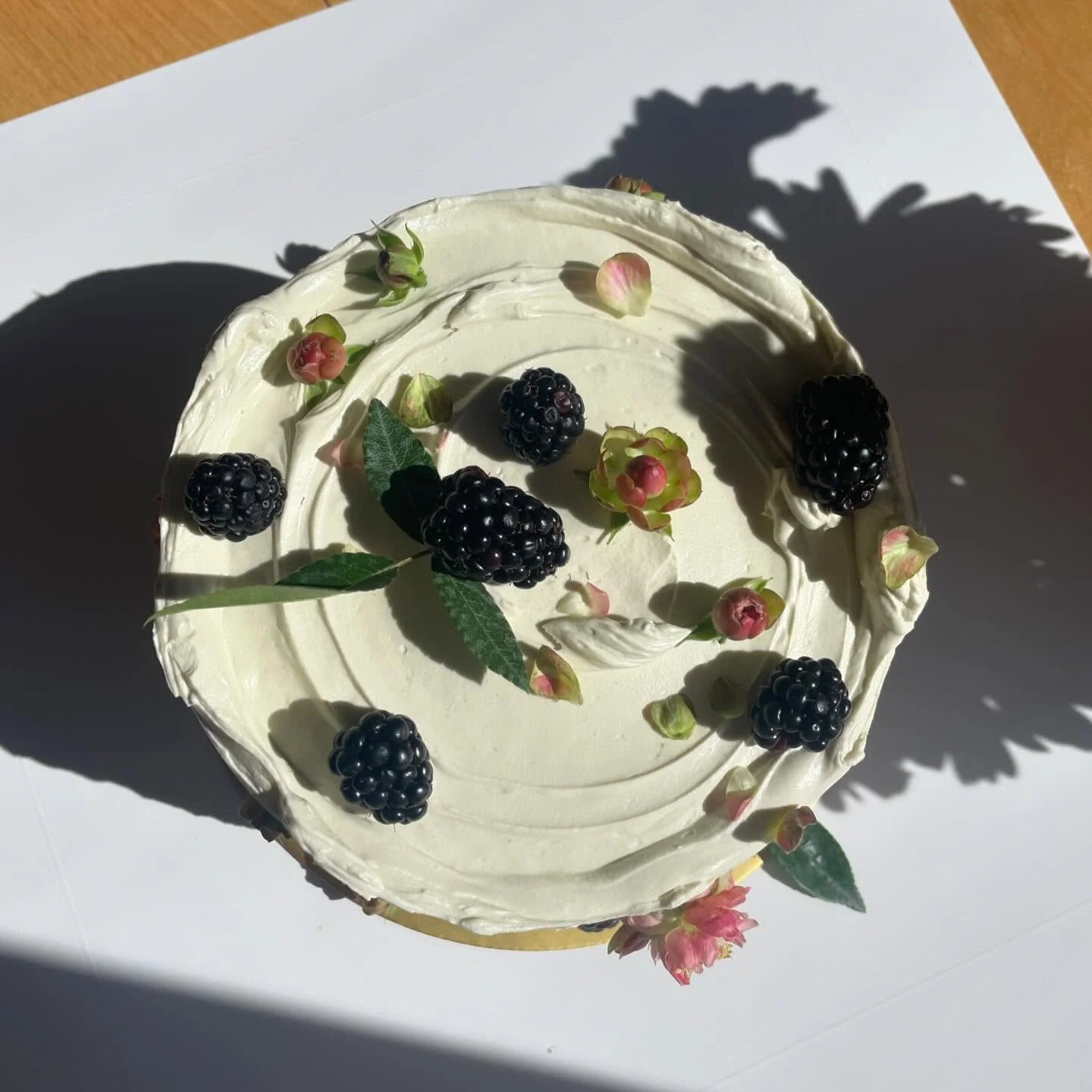 Little wedding tester for Tamar &mdash;

Olive oil cake, pistachio ganache, blackberry jam, pistachio SMBC. How sweet are these pink Japanese spray roses!