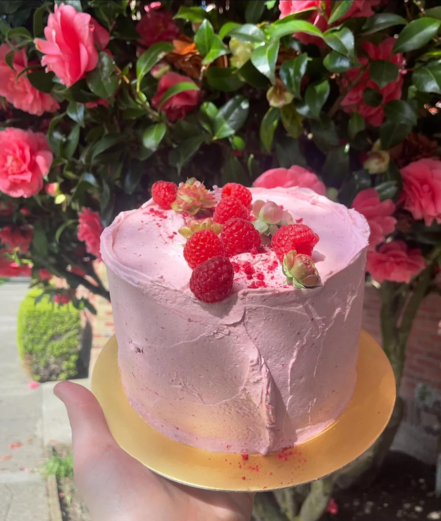 Another little wedding tester for Tamar &mdash; 

Lemon zest cake, layers of lemon cream and raspberry jam, raspberry SMBC 🌸 cute!