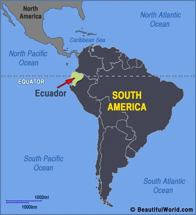 Venezuelan Migrants Contribute More Than $900 Million/Year To Ecuador’s Economy