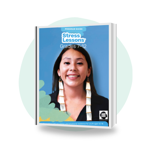 Stress Lessons™: Grades 7–12 (Printed) - Code SM 6322