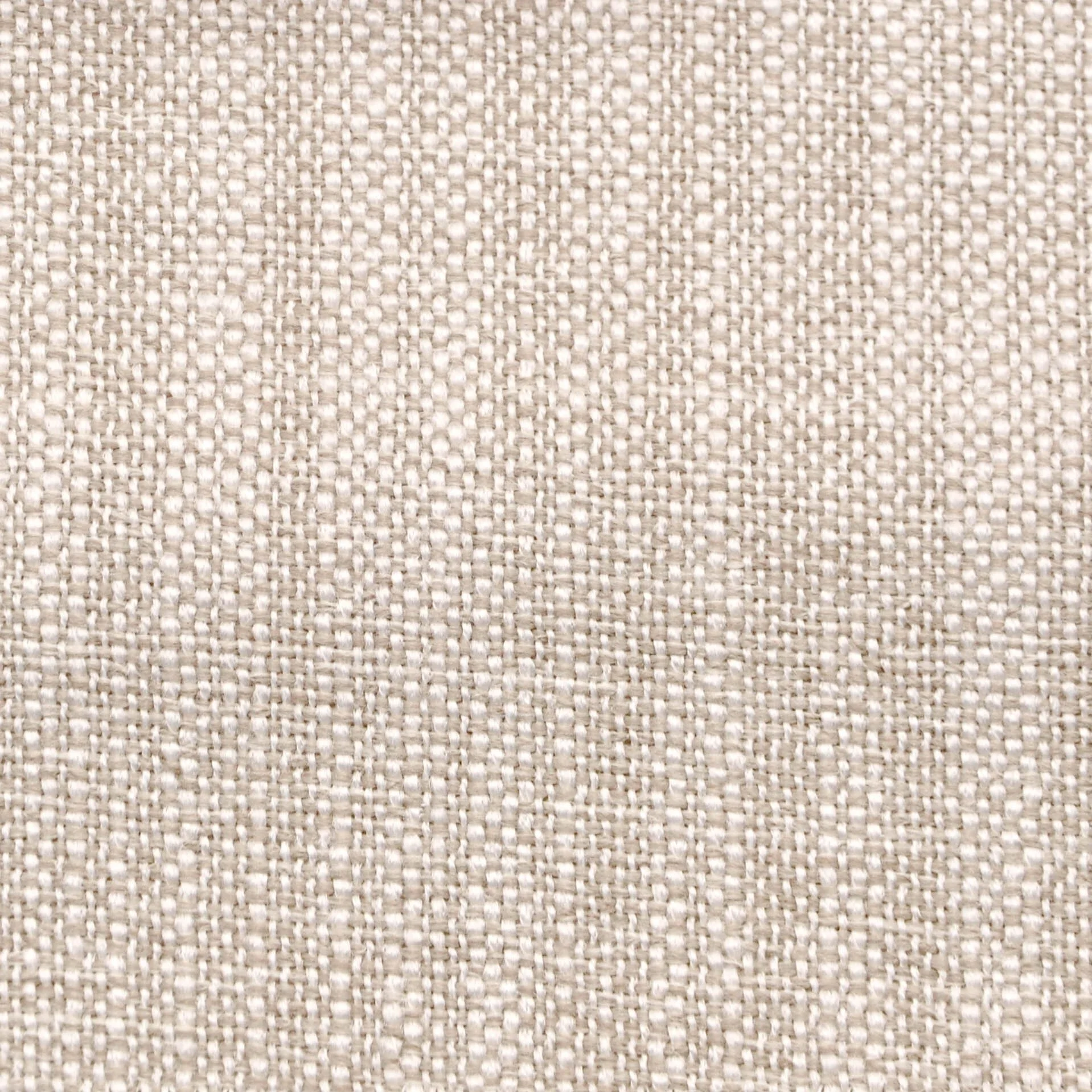 ANATOMICA／BOURGERON CAMBRIC COTTON 21SS ANATOMICA／BOURGERON CAMBRIC COTTON 21SS Natural Cotton Canvas