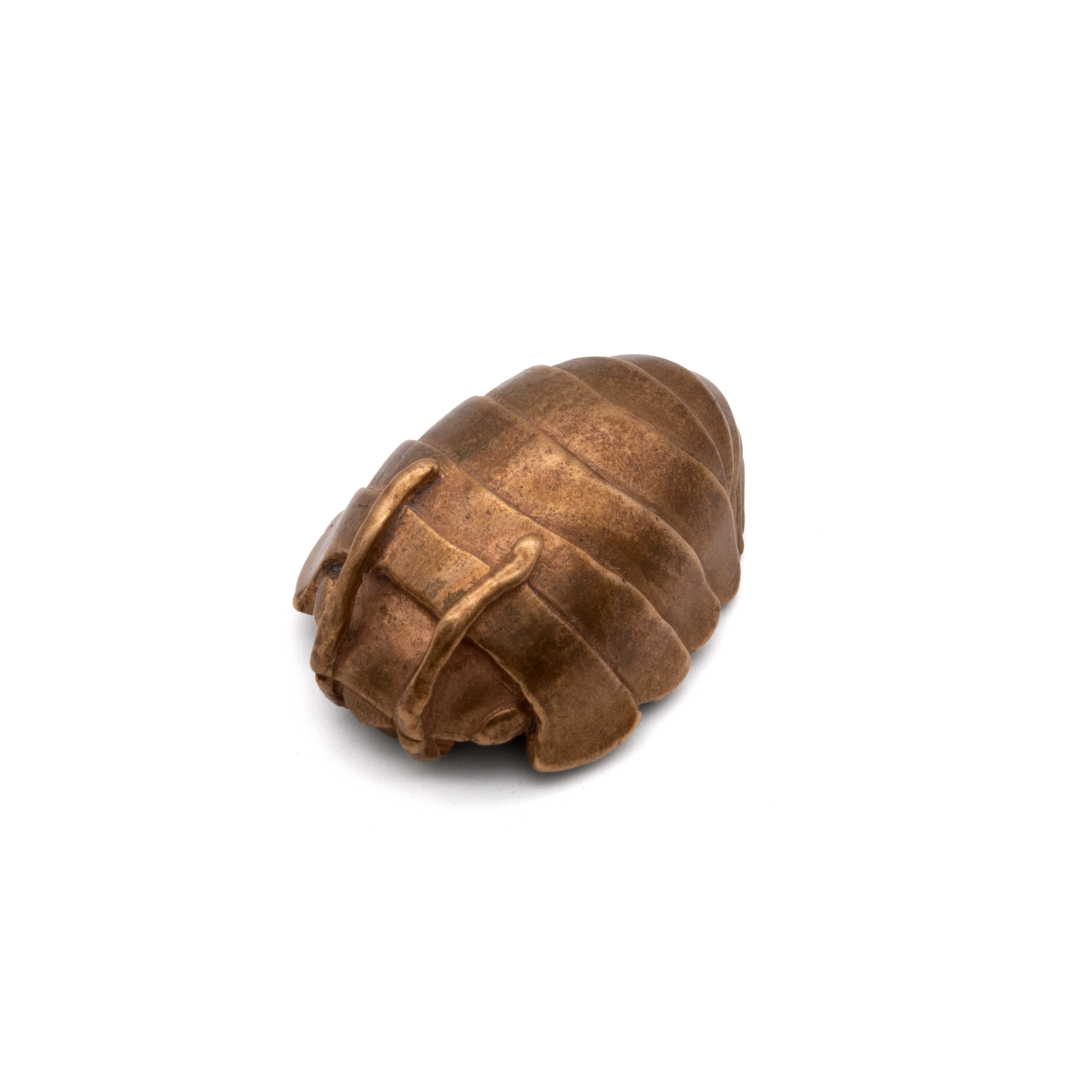 Isopod