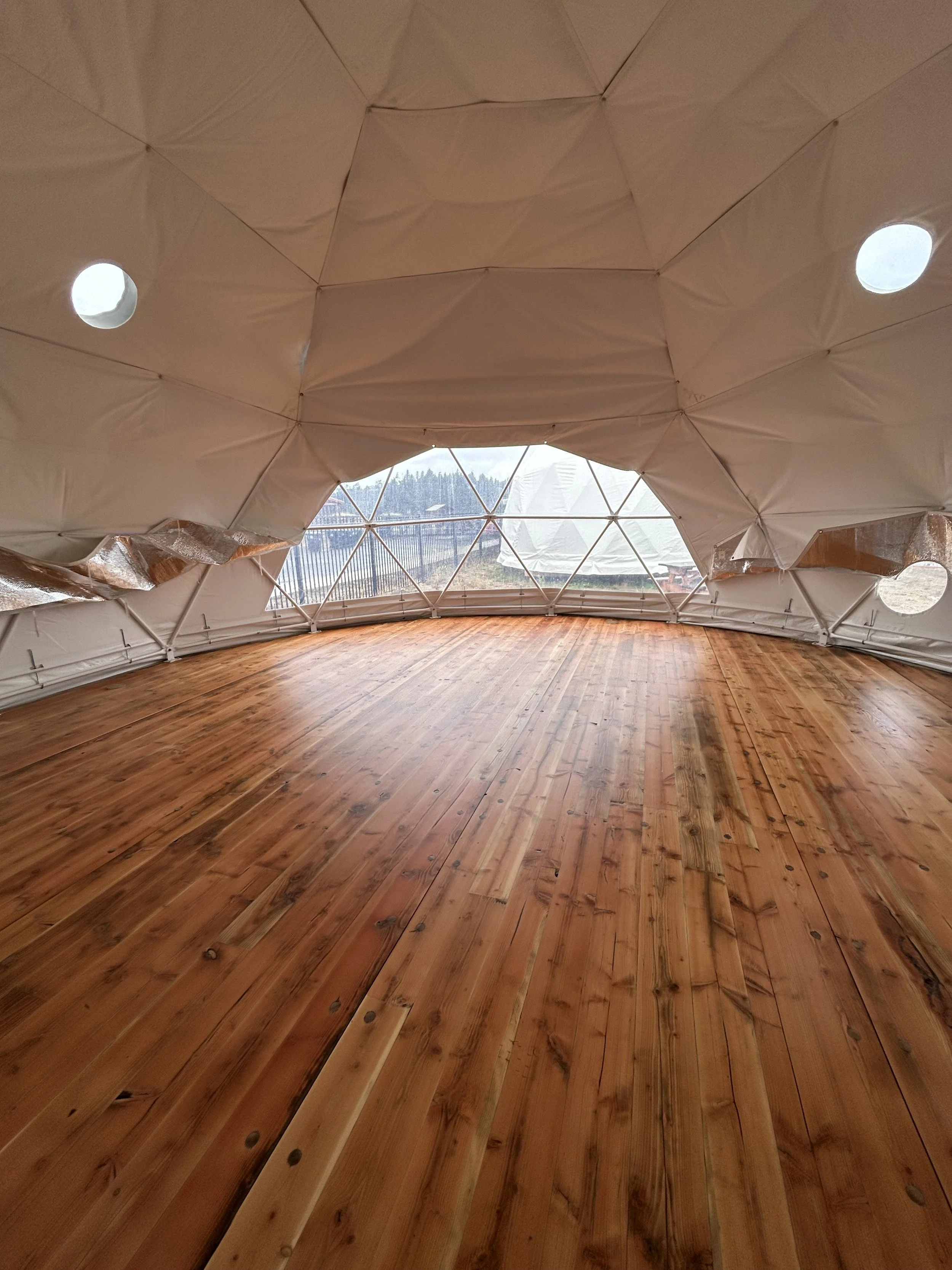 Dome Update