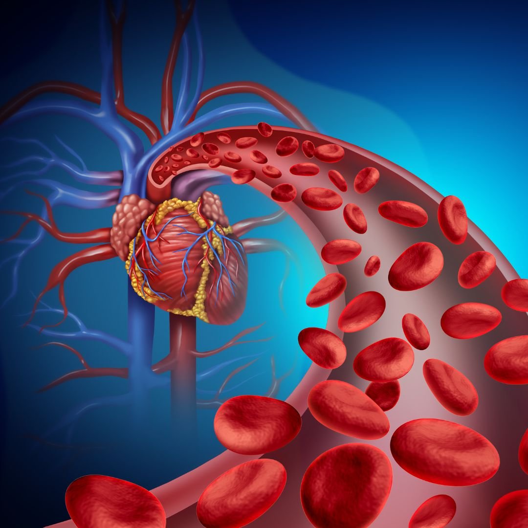 Enhanced circulation