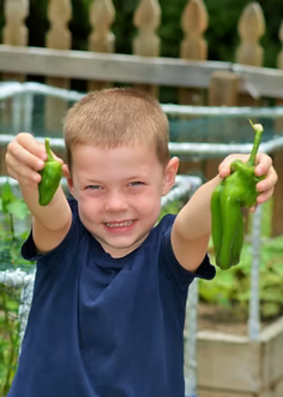 Screenshot 2025-09-03 at 17-15-08 Our Gallery lakehillsmontessori.png