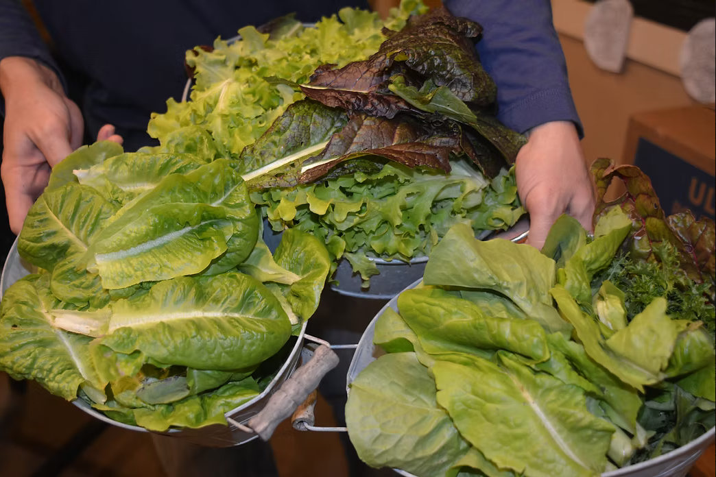 Screenshot 2025-09-03 at 17-43-37 A Day at LHM lakehillsmontessori.png