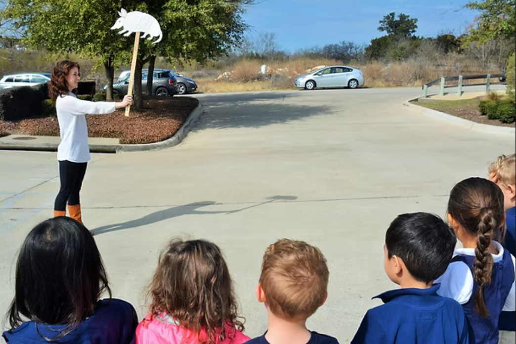 Screenshot 2025-09-03 at 17-22-54 Bee Cave Bob - Gallery lakehillsmontessori.png