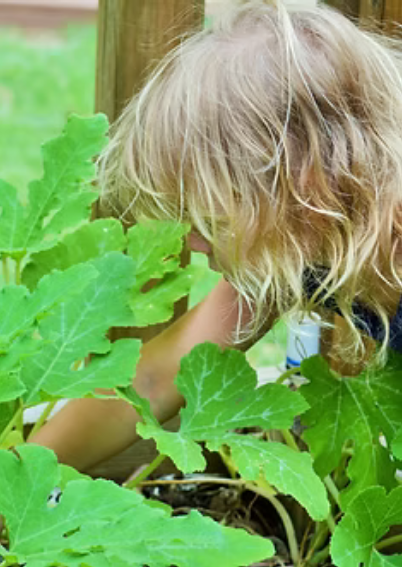 Screenshot 2025-09-03 at 17-15-04 Our Gallery lakehillsmontessori.png