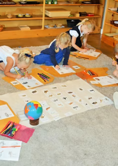 Screenshot 2025-09-03 at 17-15-17 Our Gallery lakehillsmontessori.png