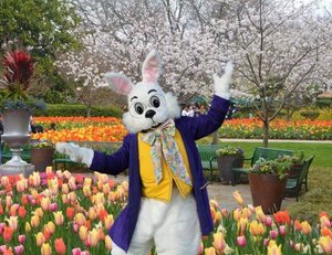 Easter Weekend in Dallas: Events + Neighborhood Insights