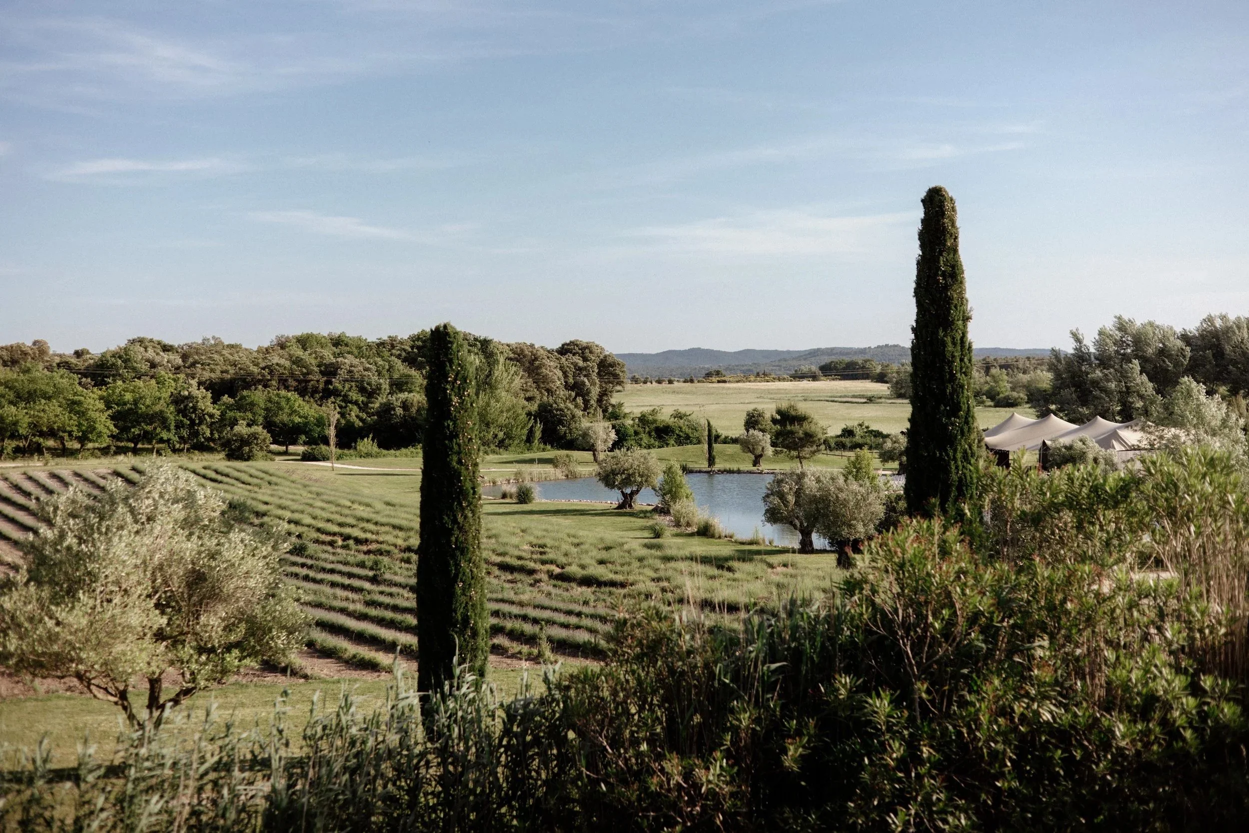 Crédit photo @Dall'k