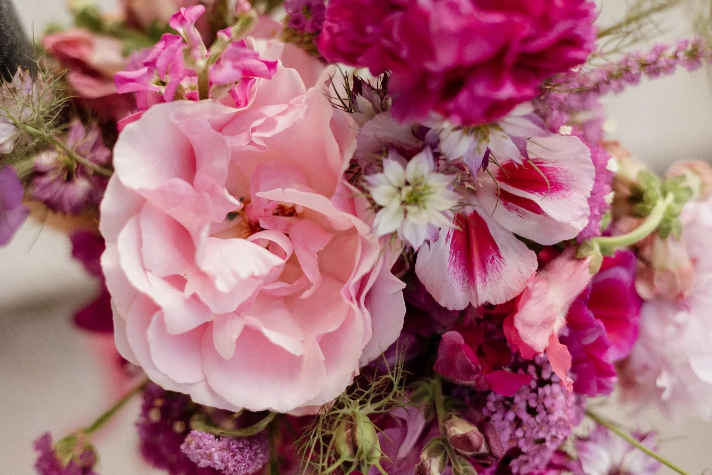 Crédit photo @Dall'k