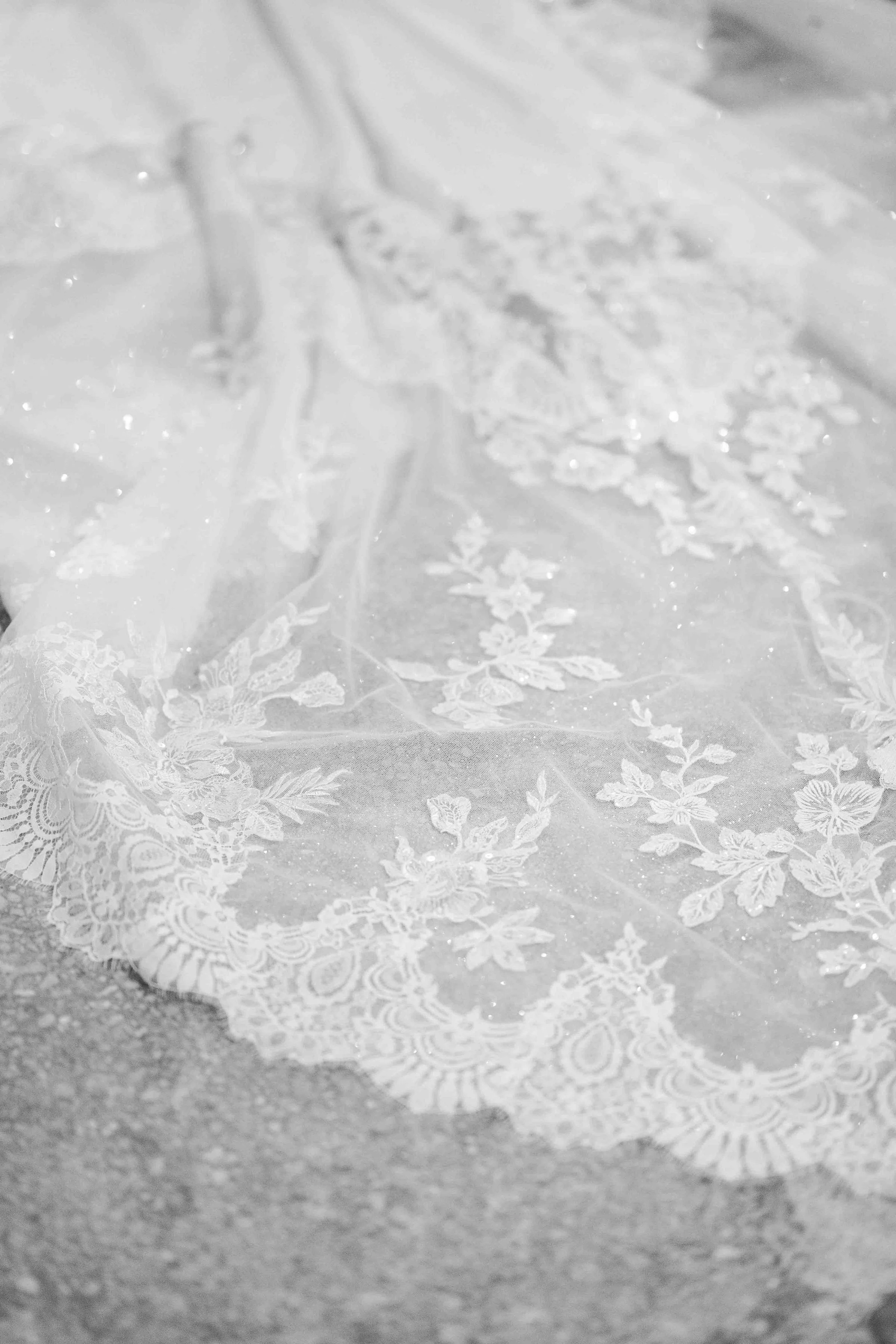 Crédit photo : @mattkobi