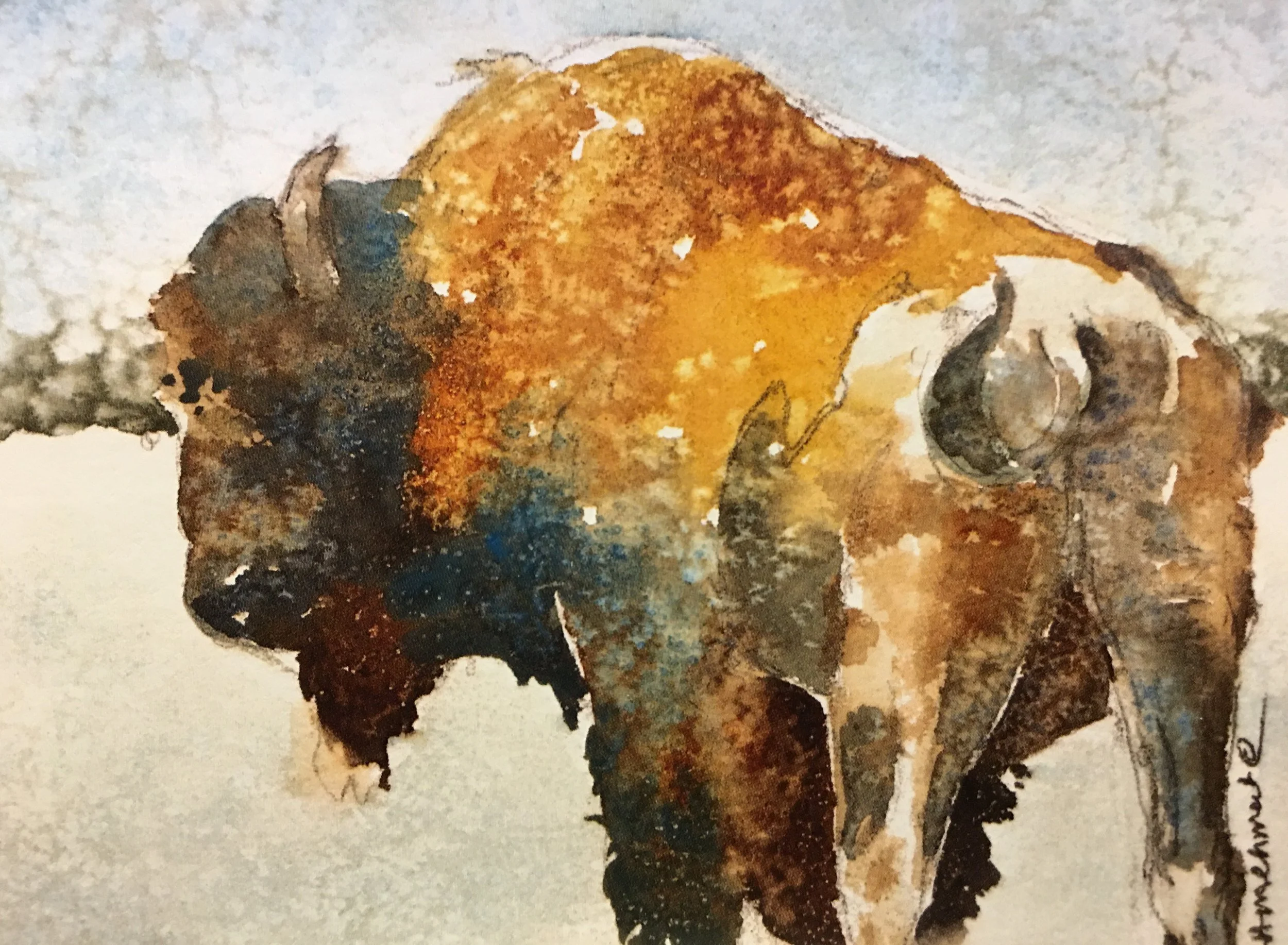 Mosca Buffalo07686.JPG