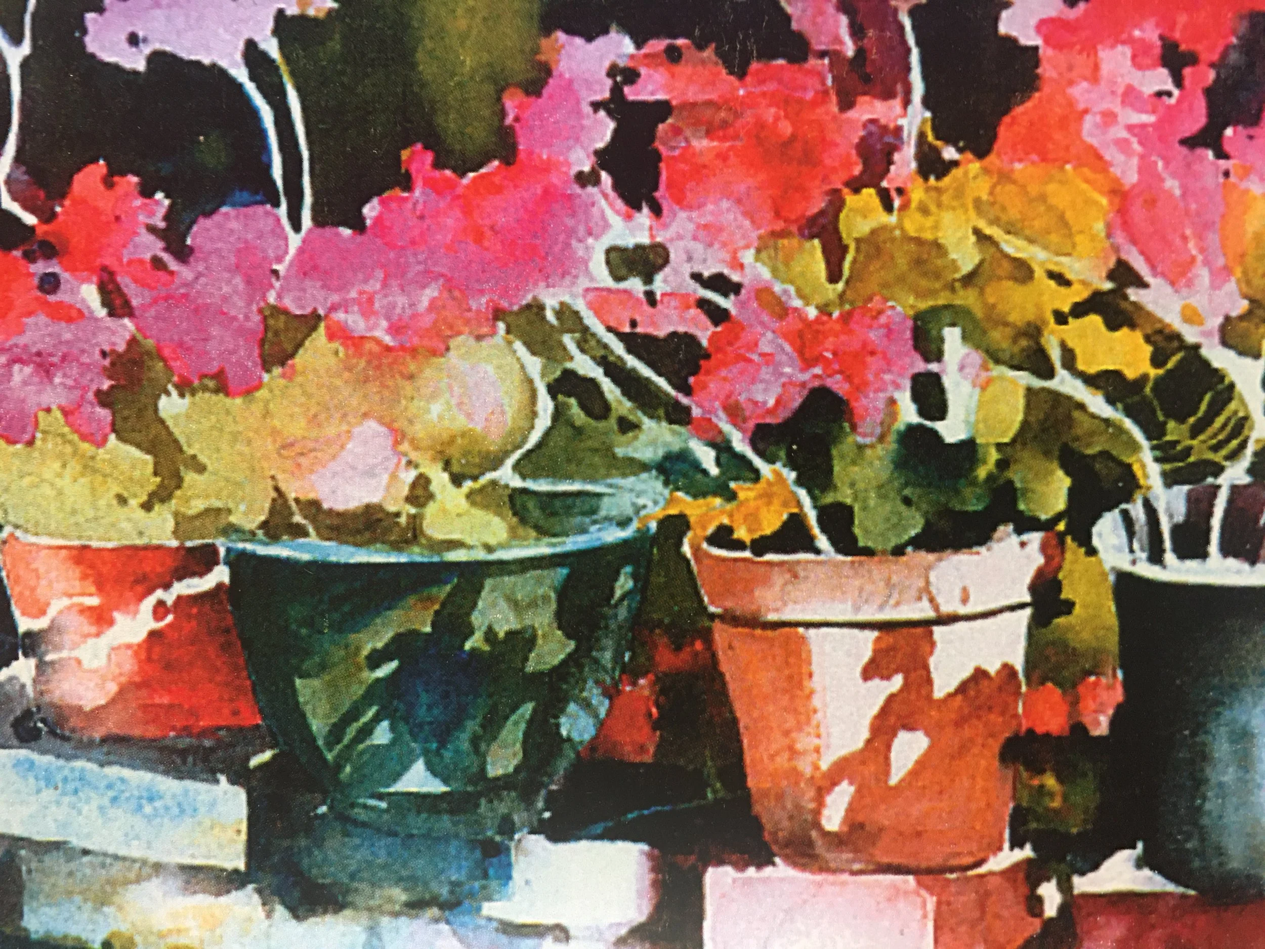 Geraniums in Pots06090.JPG