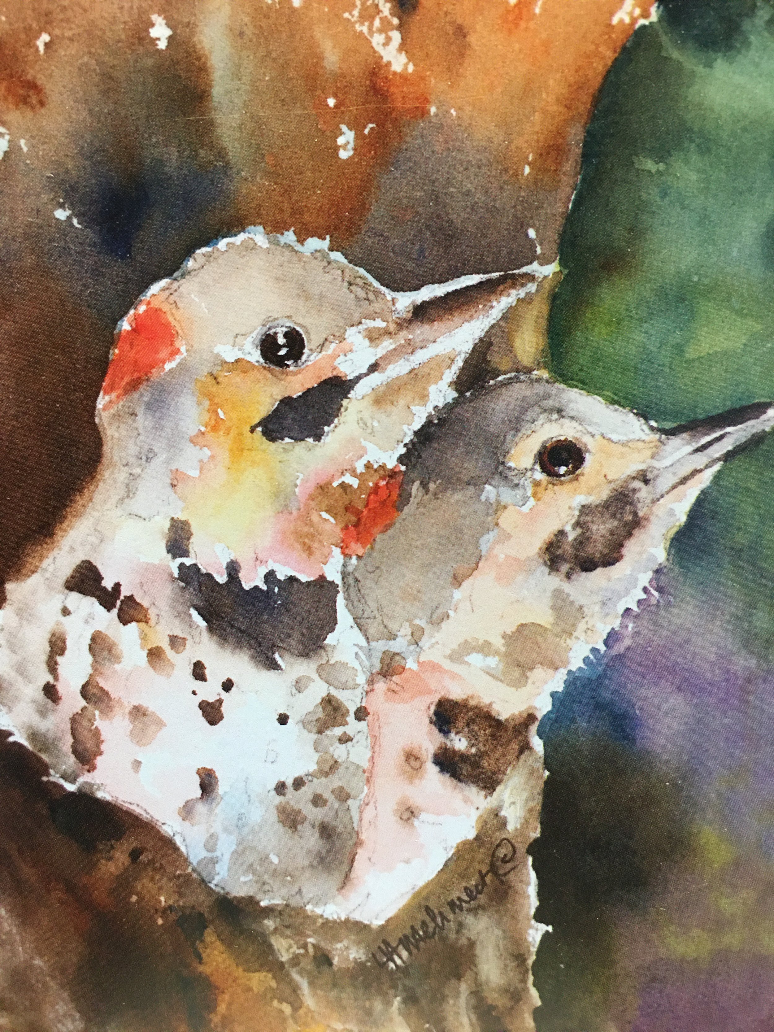 Baby Flickers01548_6034.JPG