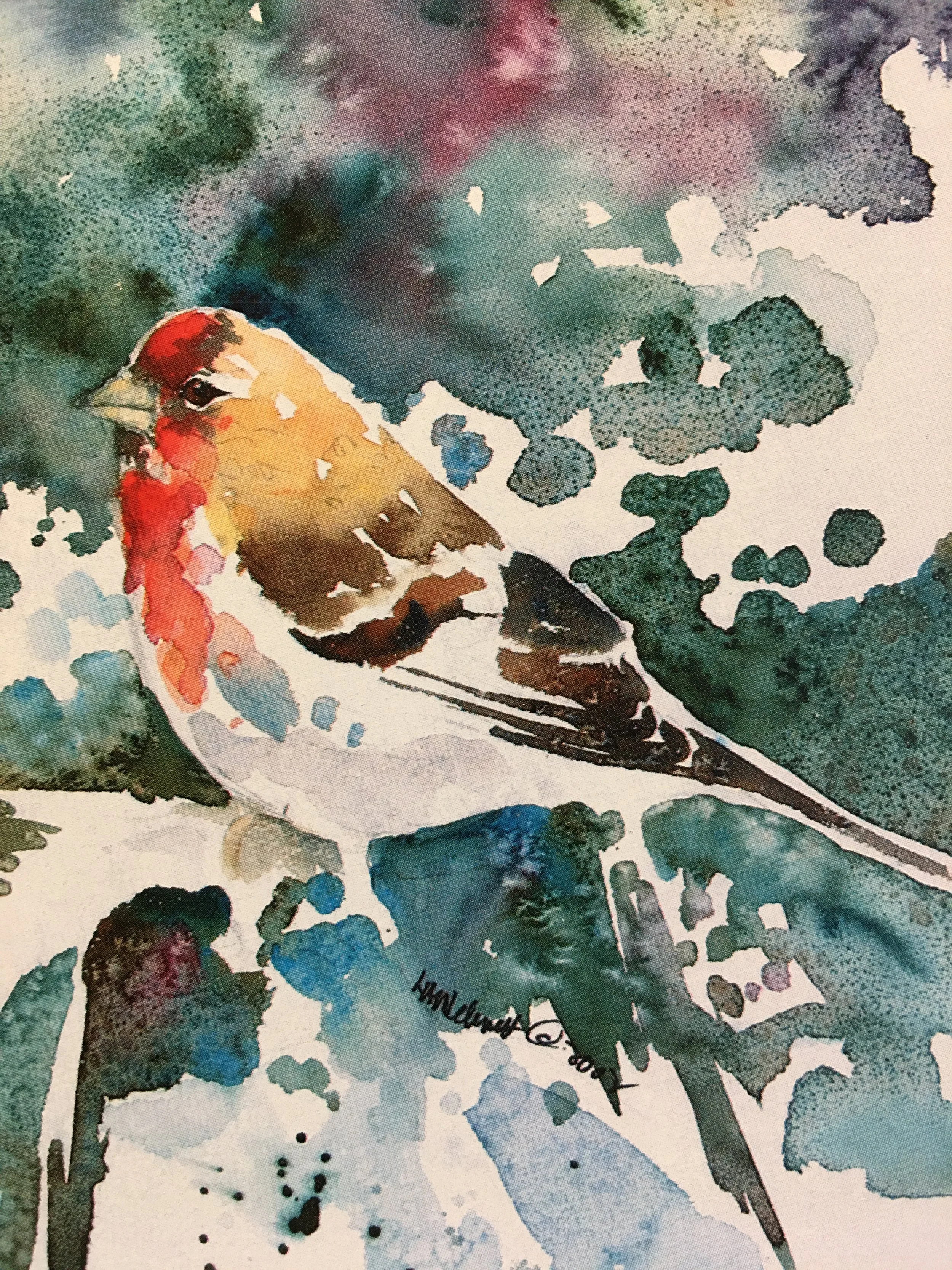 Common Redpoll01362_5537.JPG