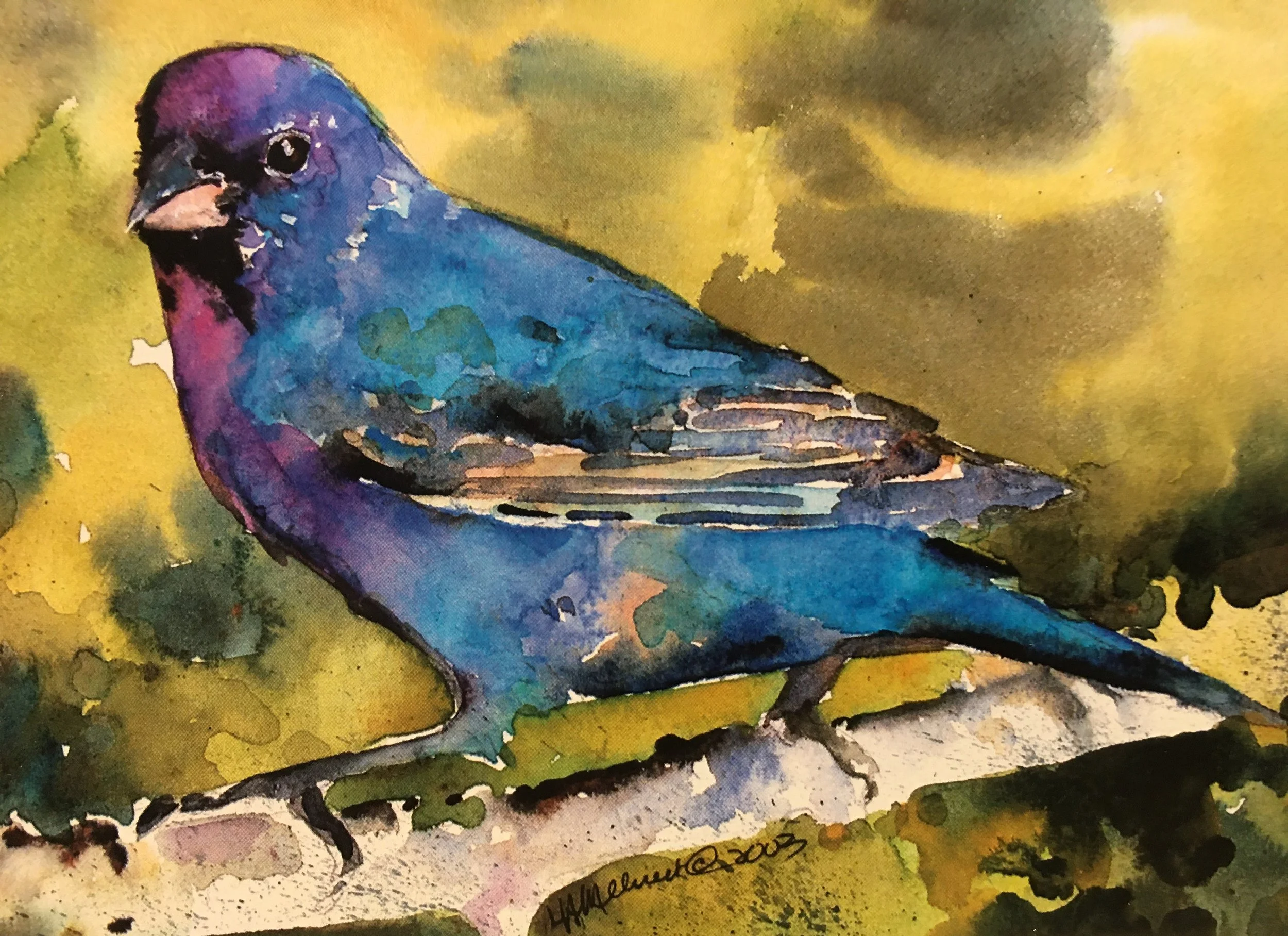 Indigo Bunting01392_5283.JPG