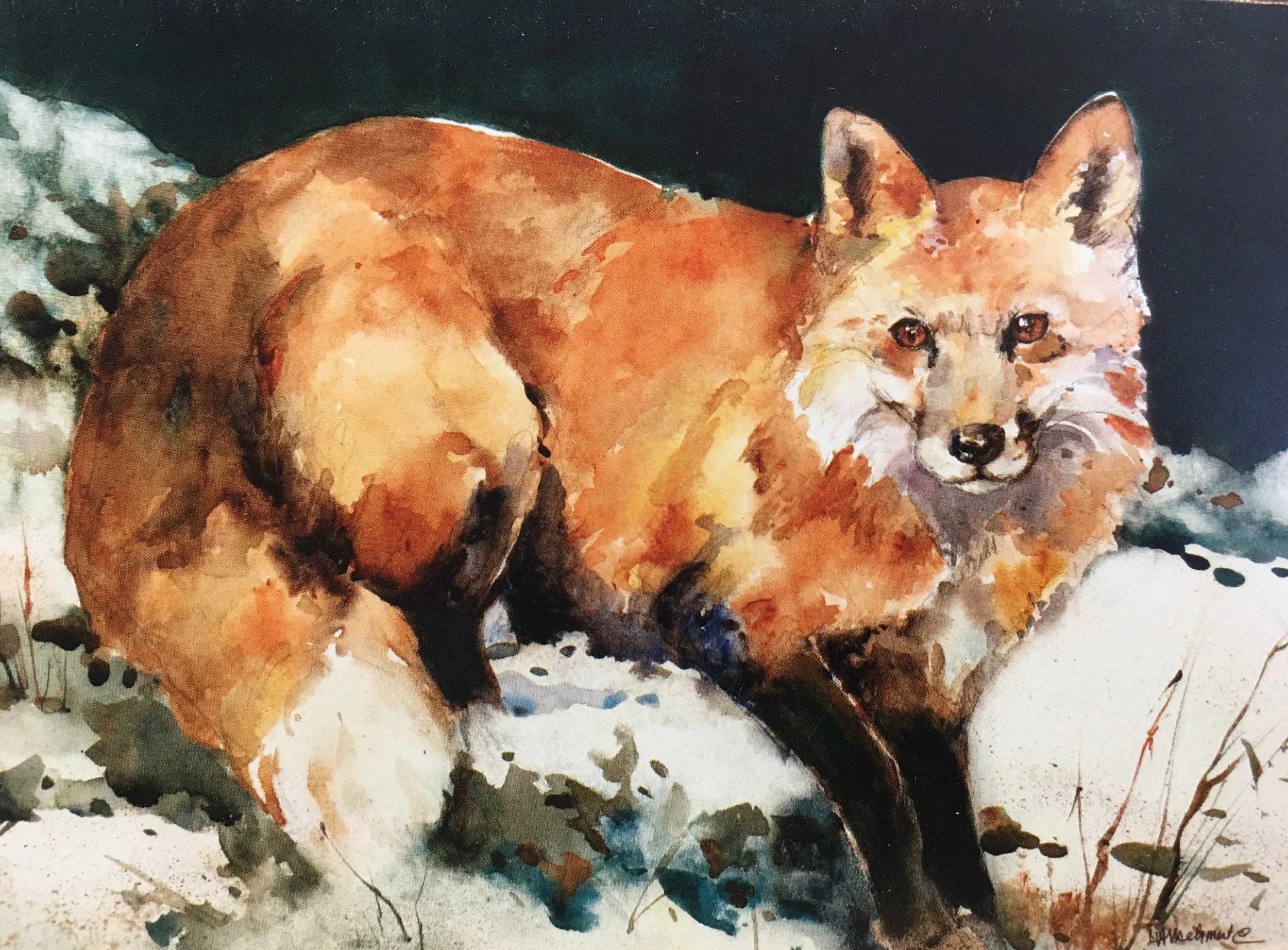 Fox Run01522_5269.JPG