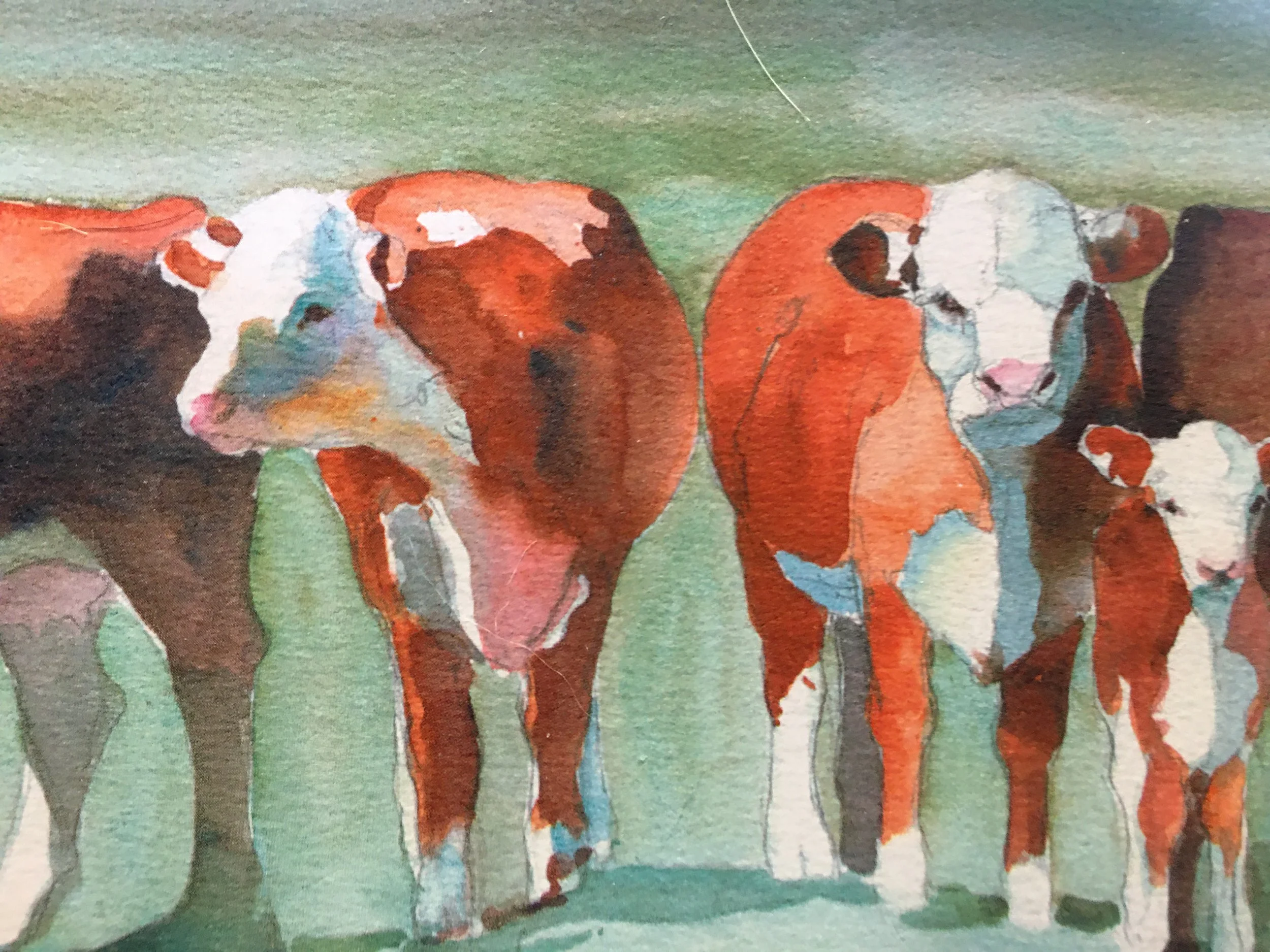 Ghost Cows07112.JPG