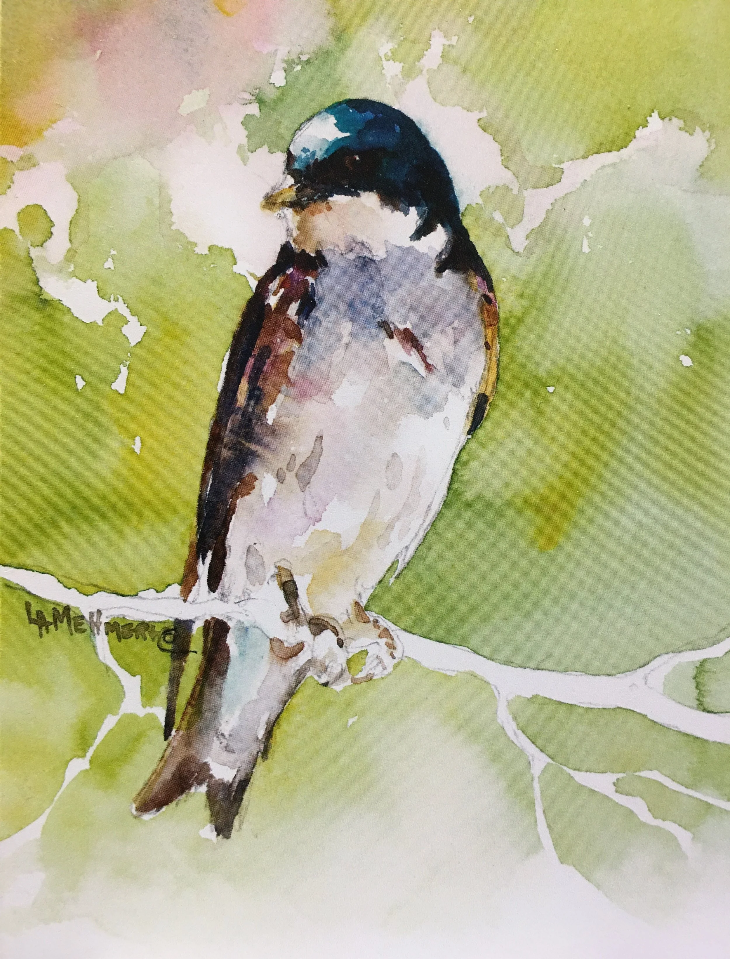 Tree Swallow01587_6028.JPG