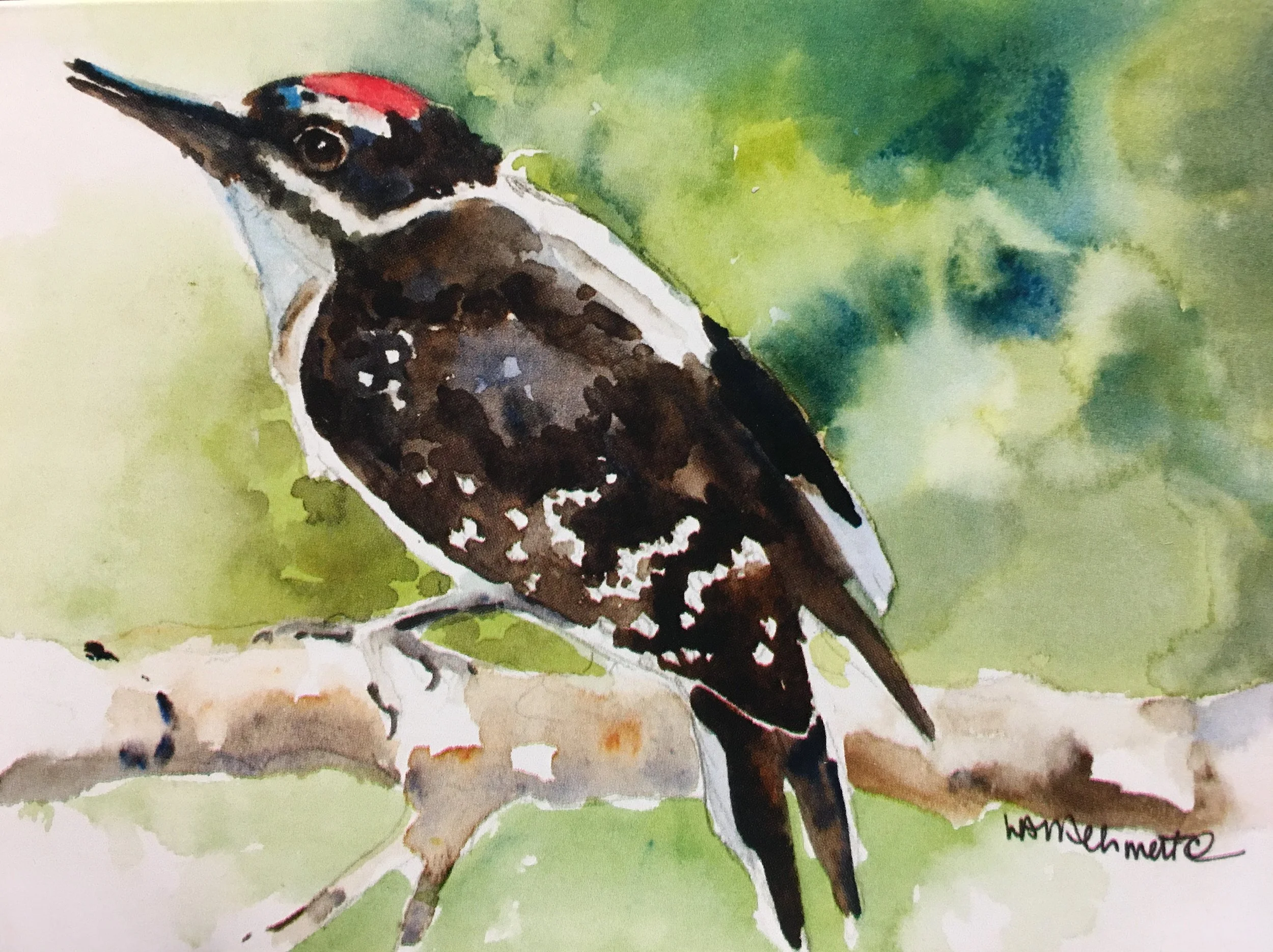 Hairy Woodpecker01611_5921.JPG