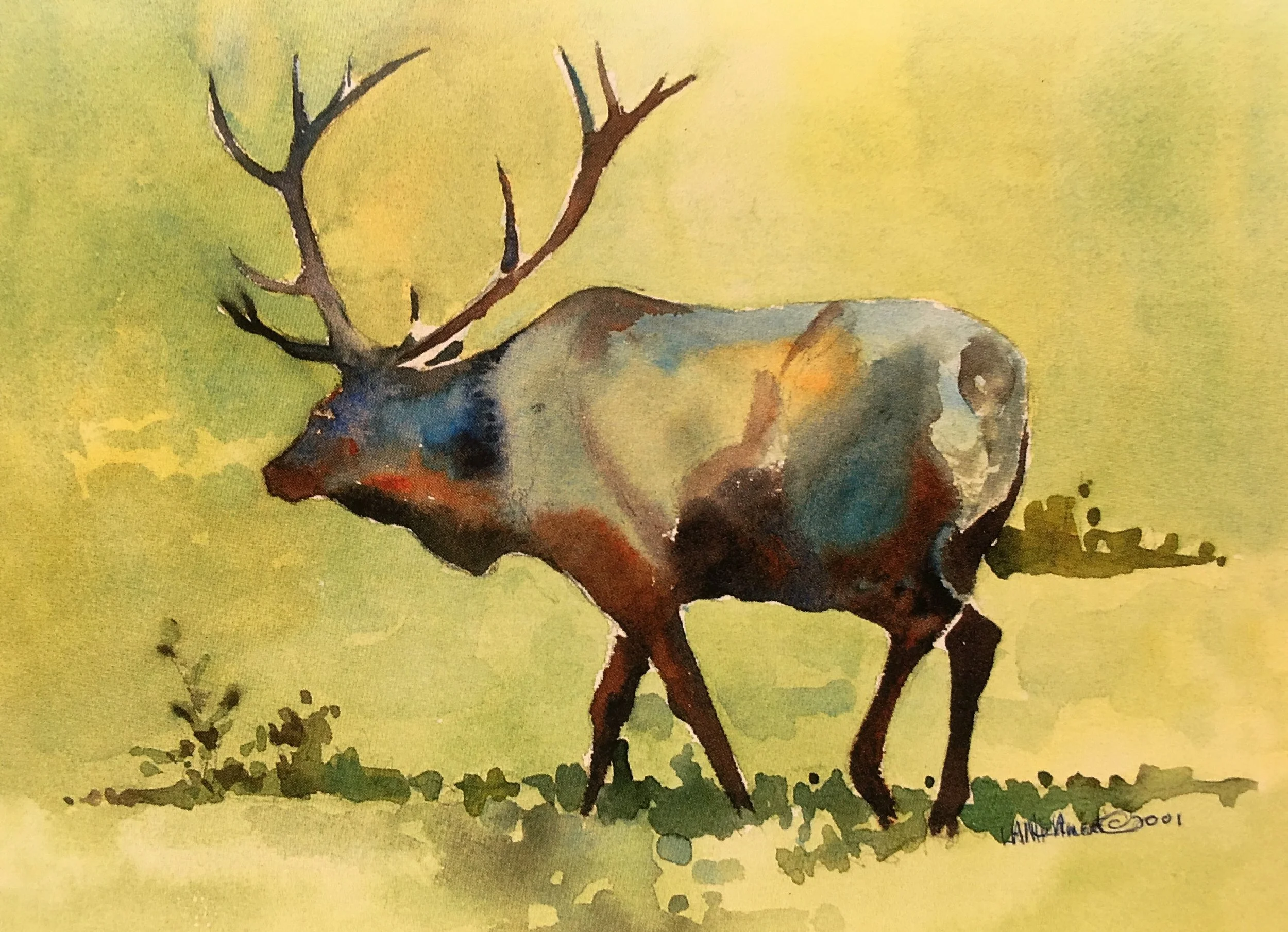 Herding the Girls01288.JPG