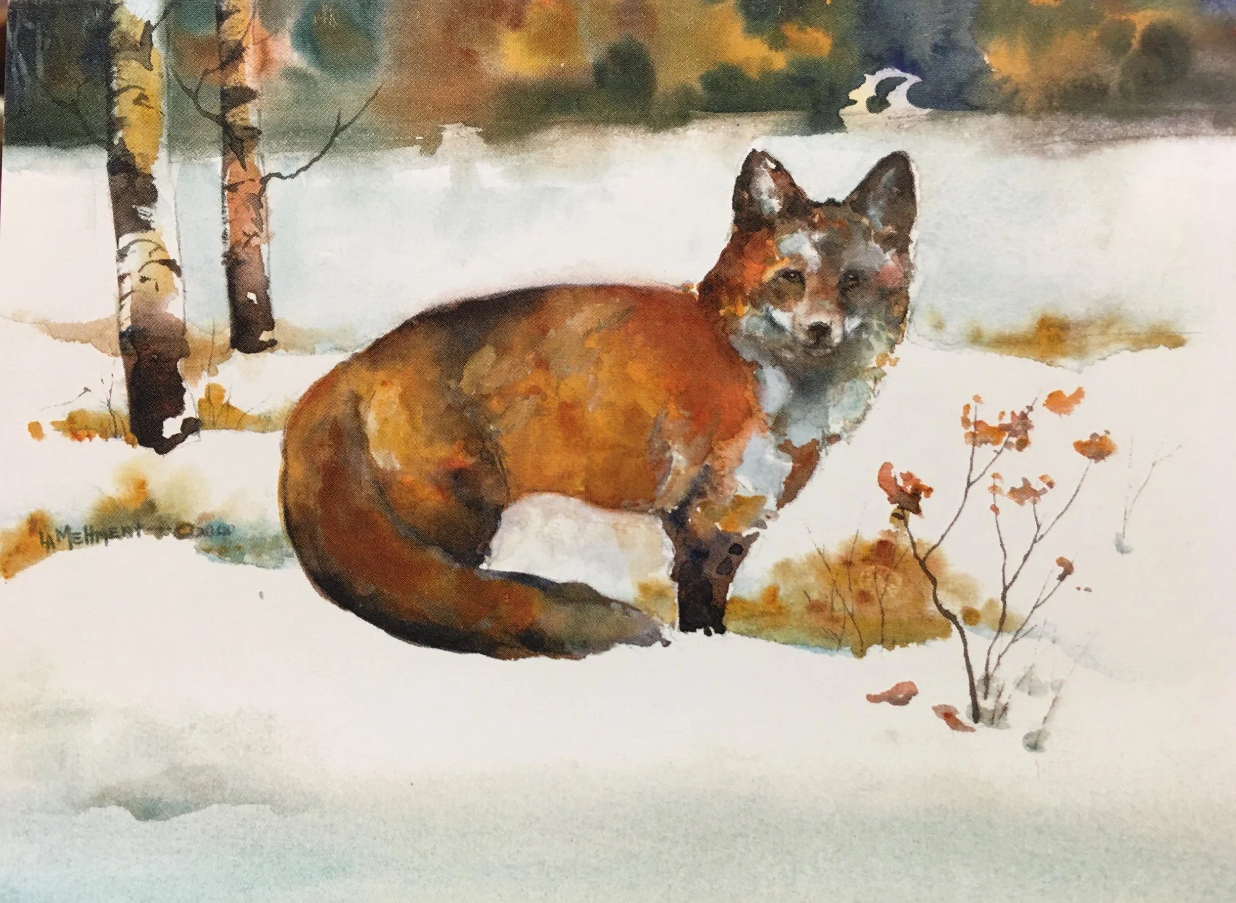 Fox One01118_5308.JPG