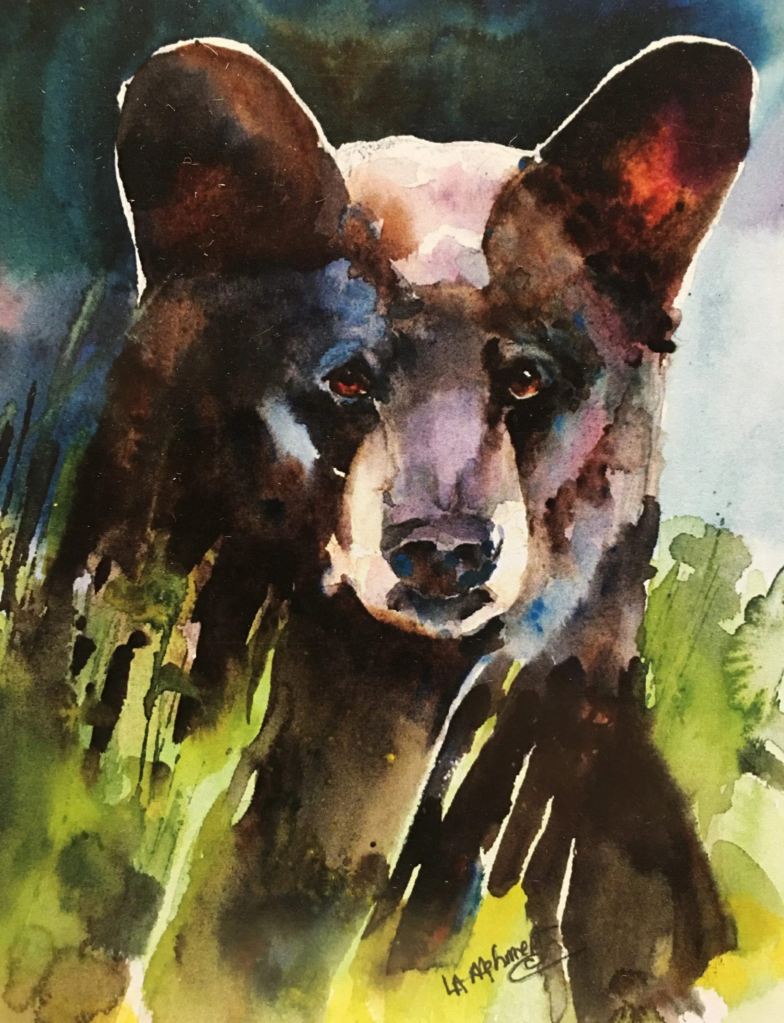 Young Black Bear01538.JPG
