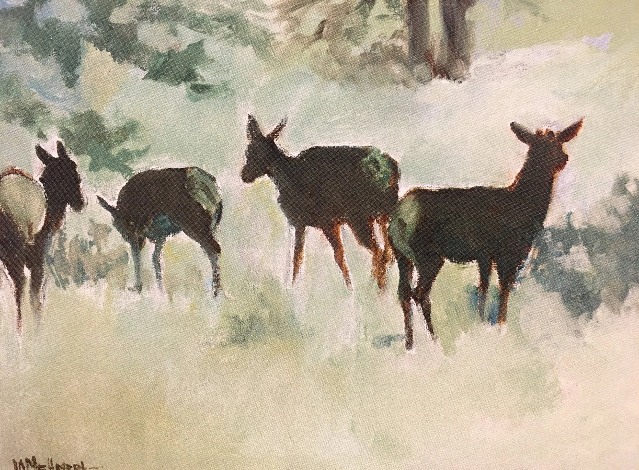 Elk in Snow01860.JPG