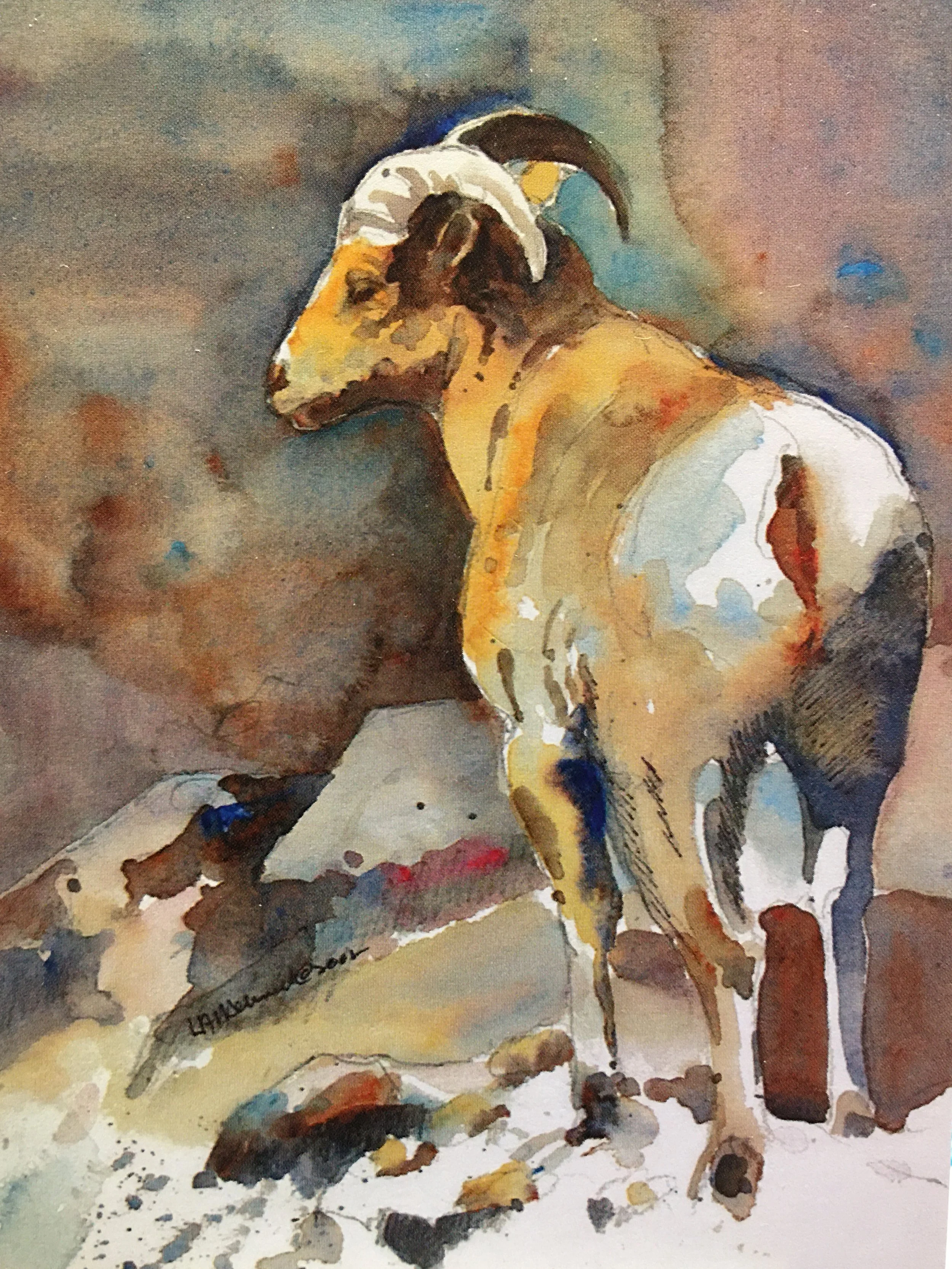 Bighorn Two01306.JPG