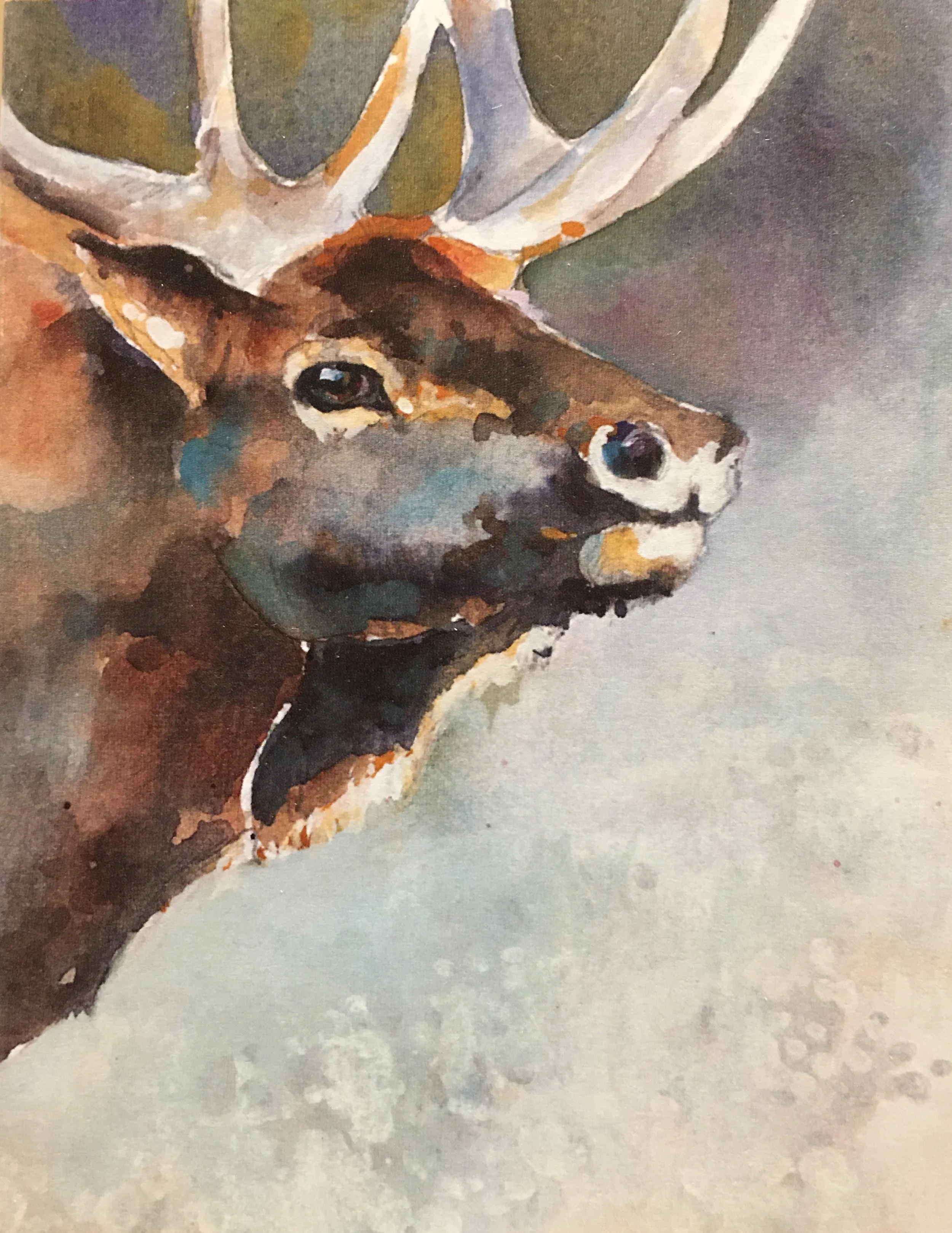 Old Grandad01281.JPG