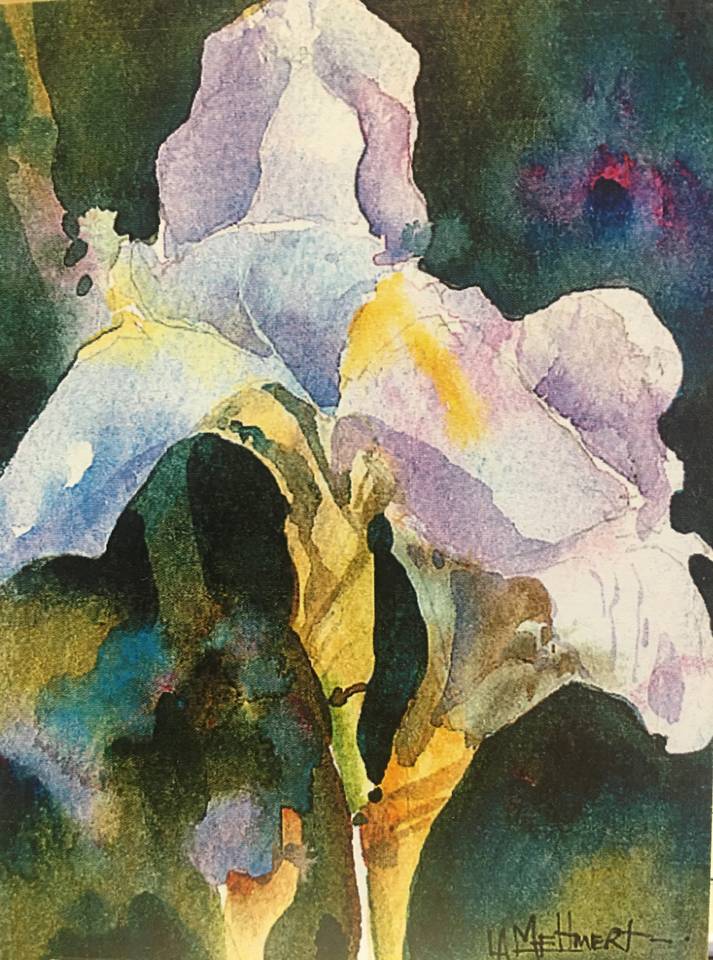 Single Iris06102.JPG