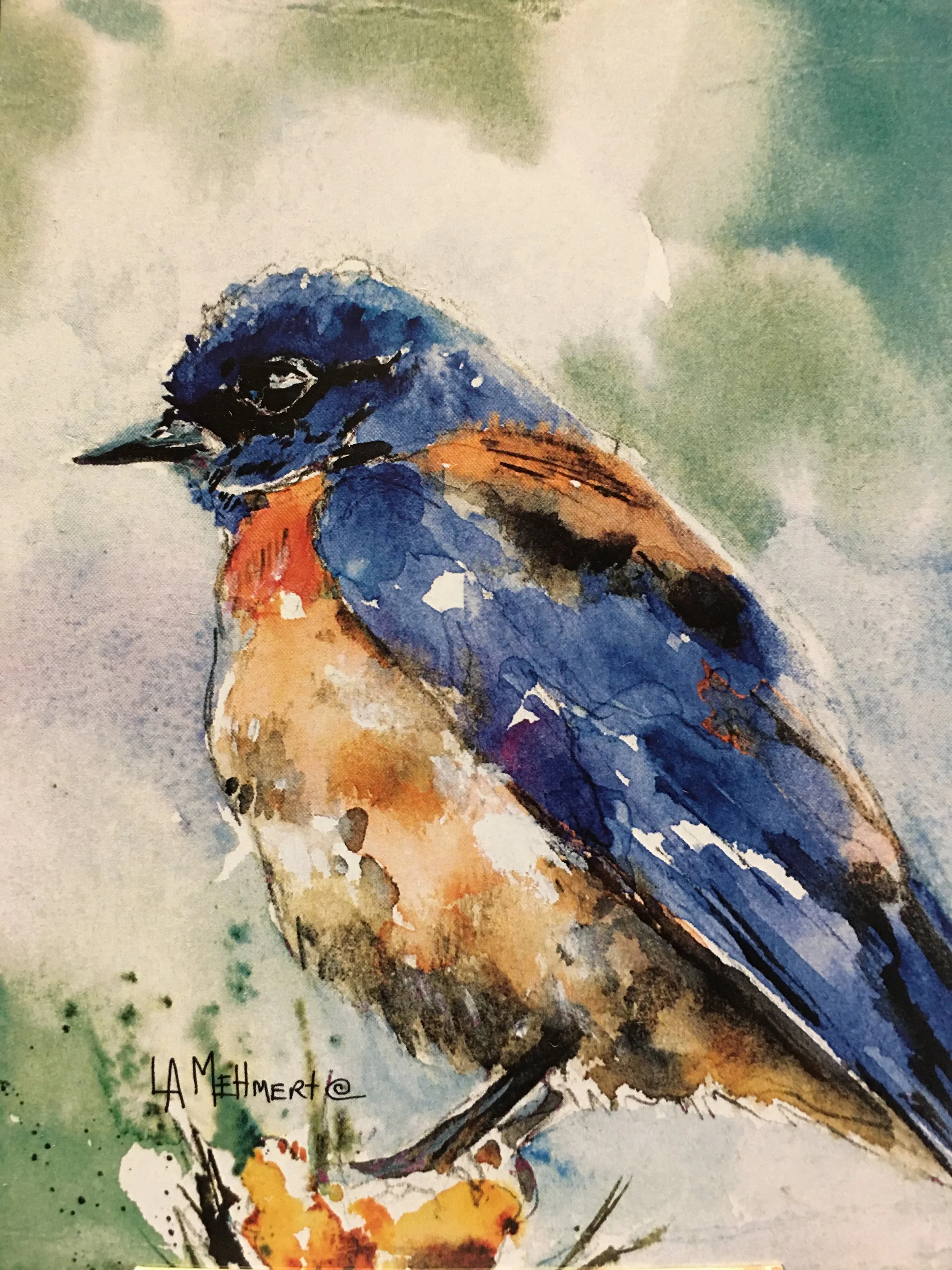 Bettys Blue Bire01525_5544.JPG