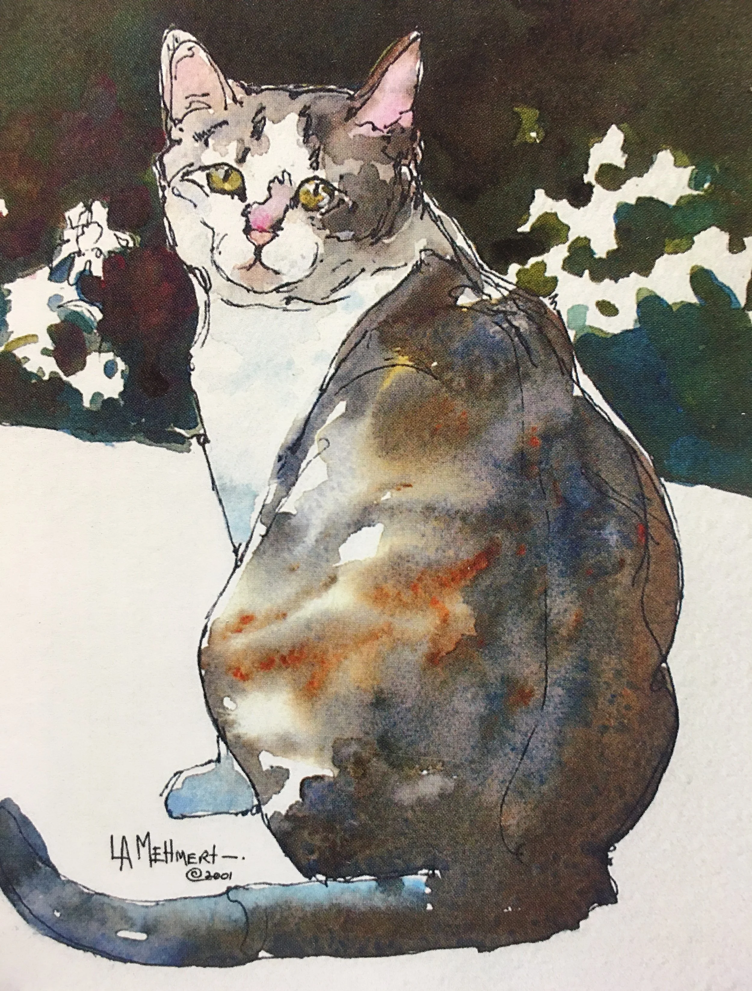 Over the Shoulder04263.JPG