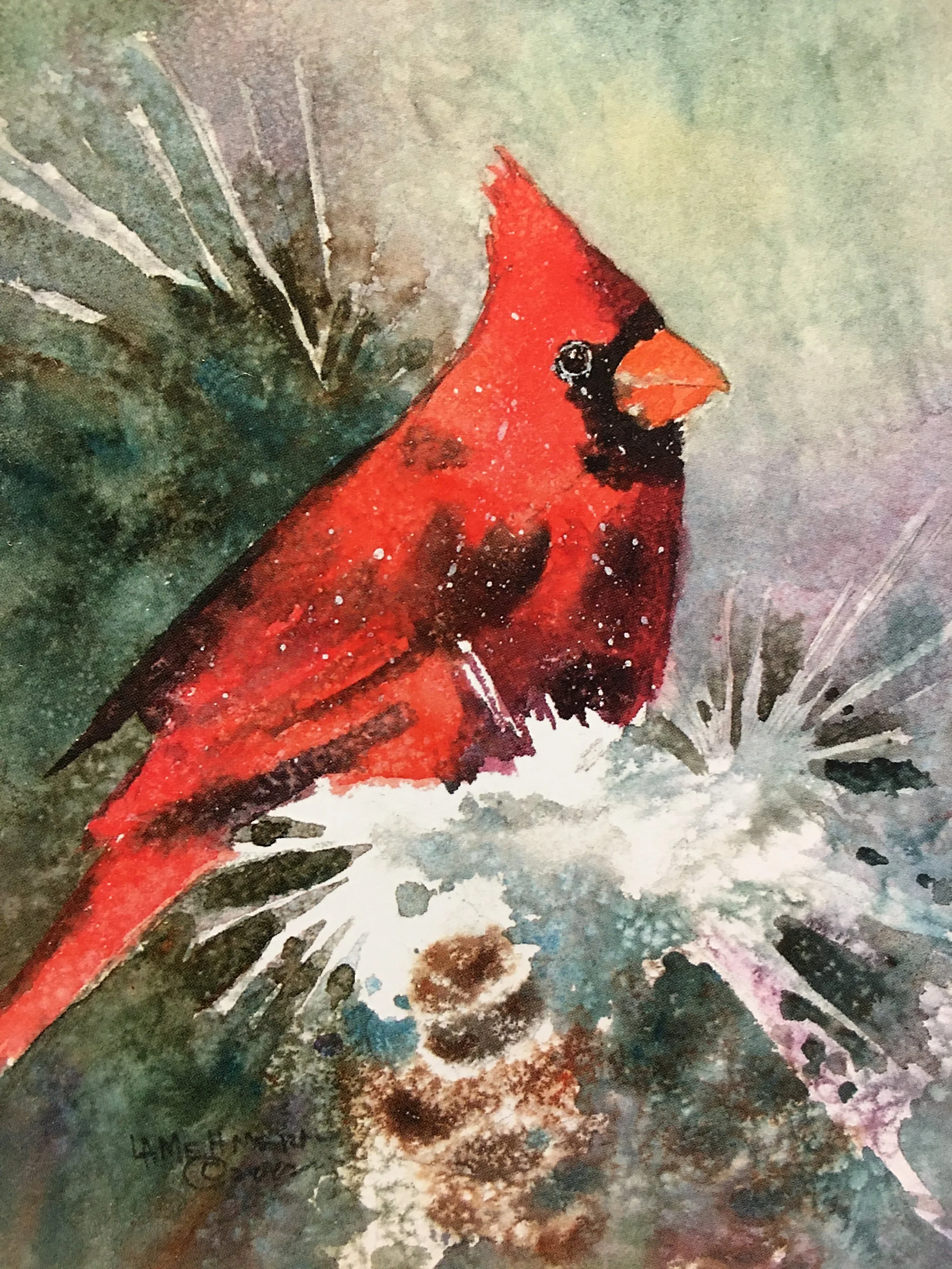 Red Cardinal on Branch01369_5521.JPG