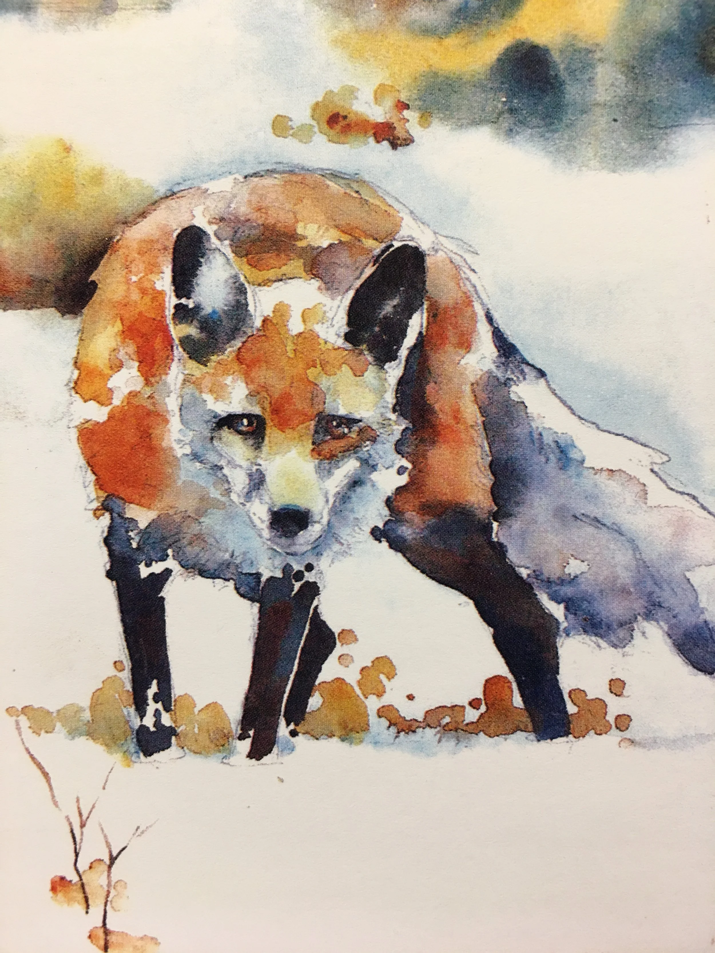 On the Prowl01216_5500.JPG