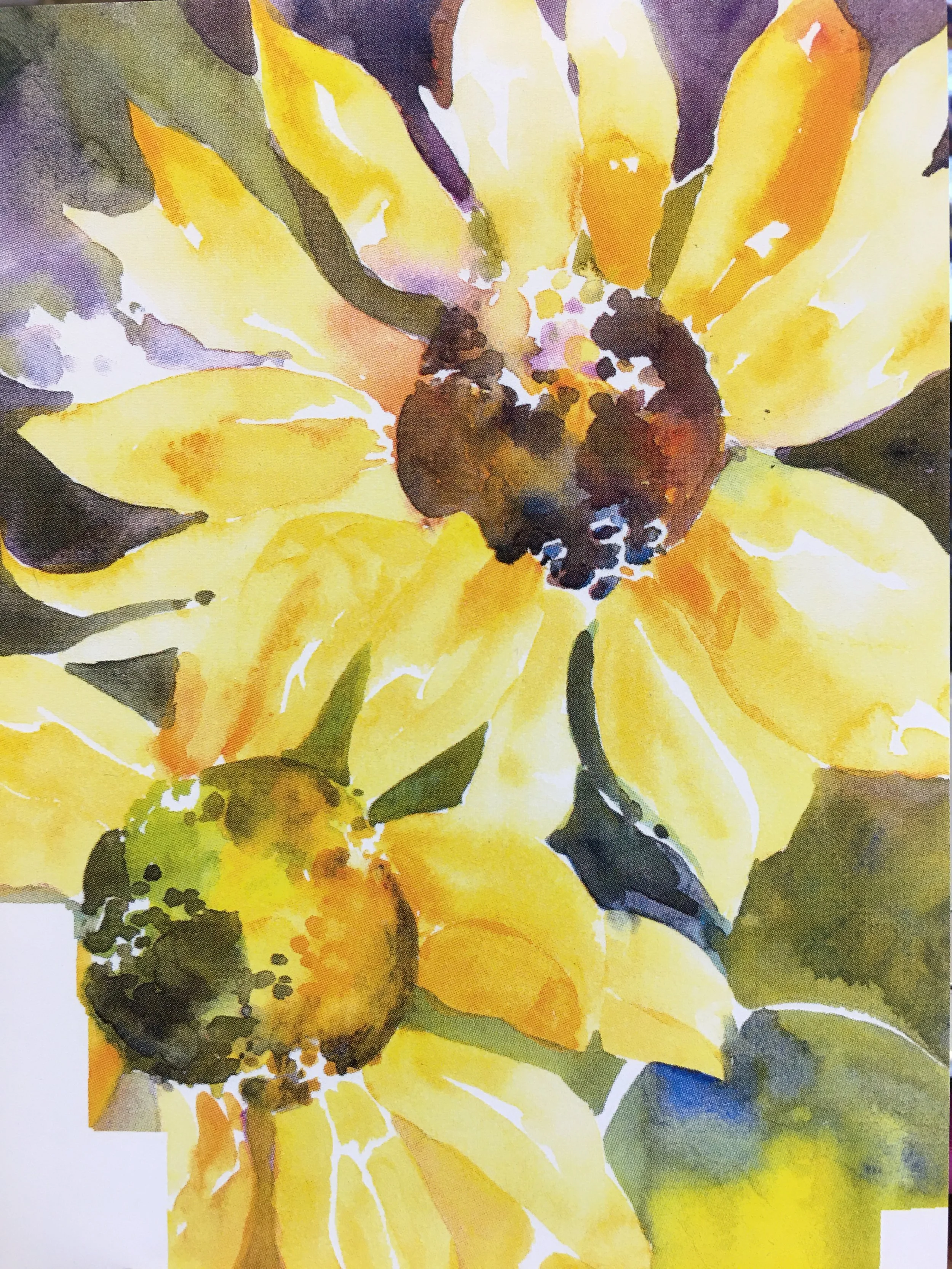 Sunflower Two06176.JPG