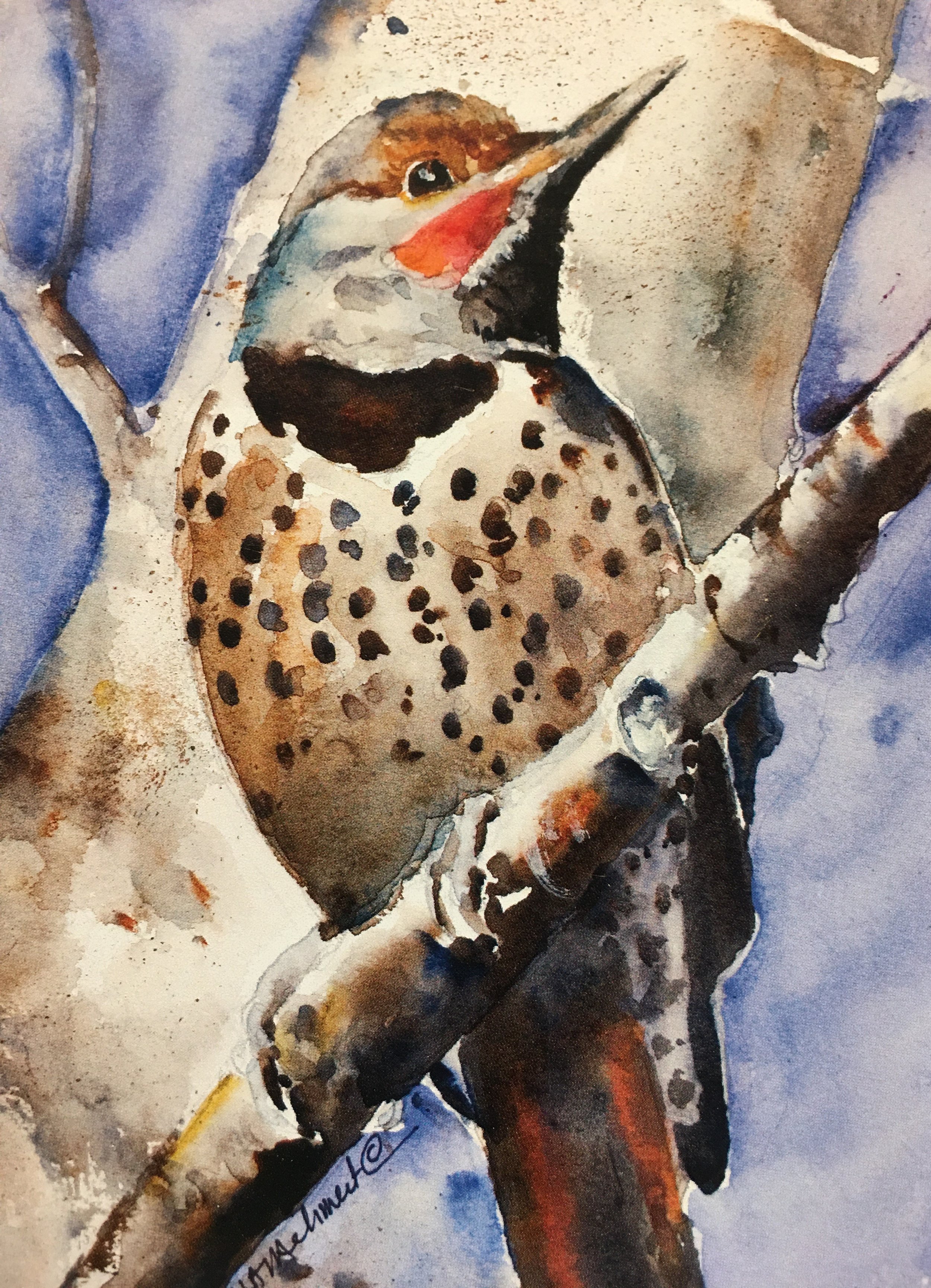 Red Shafted Flicker01568_5996.JPG