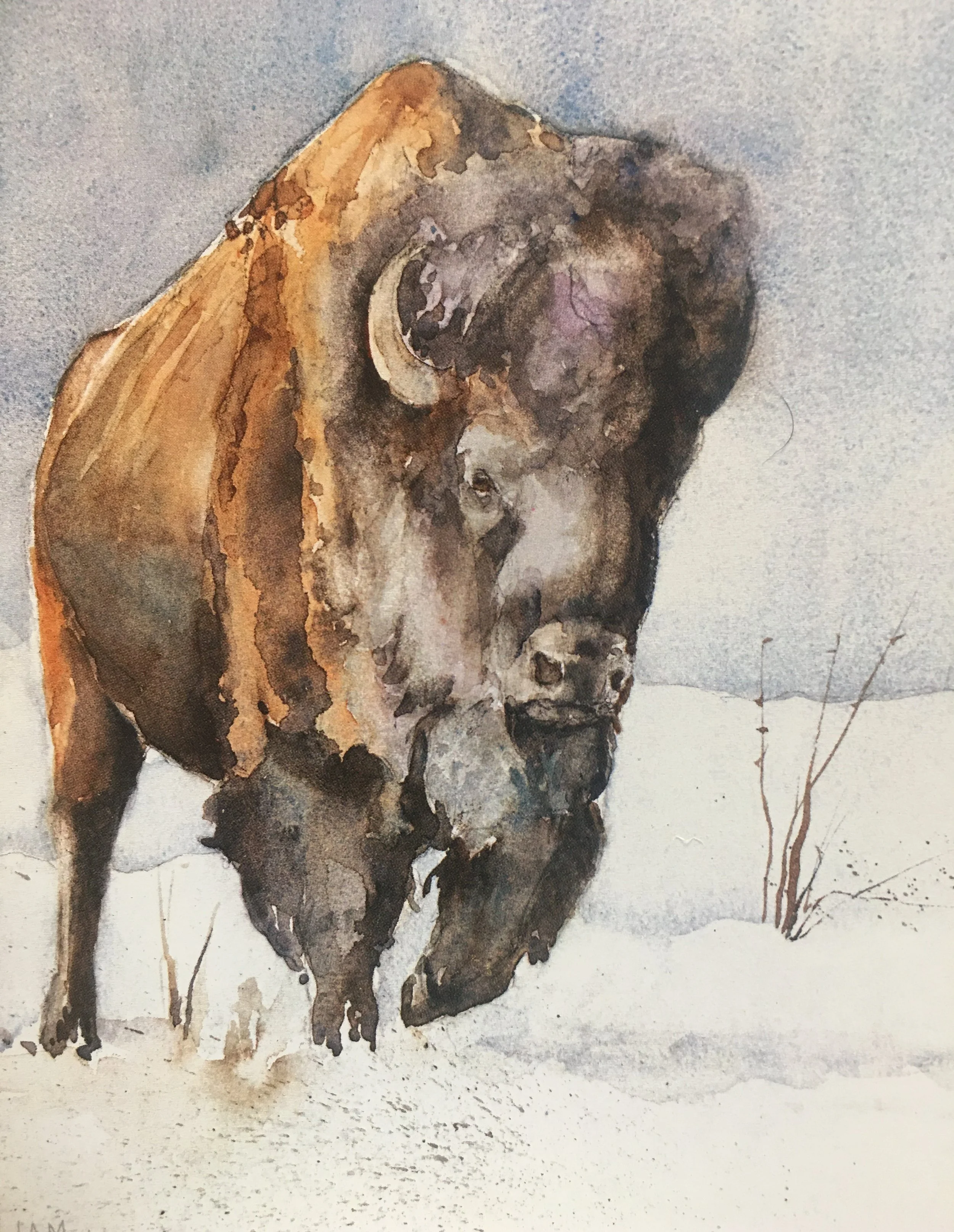 Prairie Thunder07951.JPG