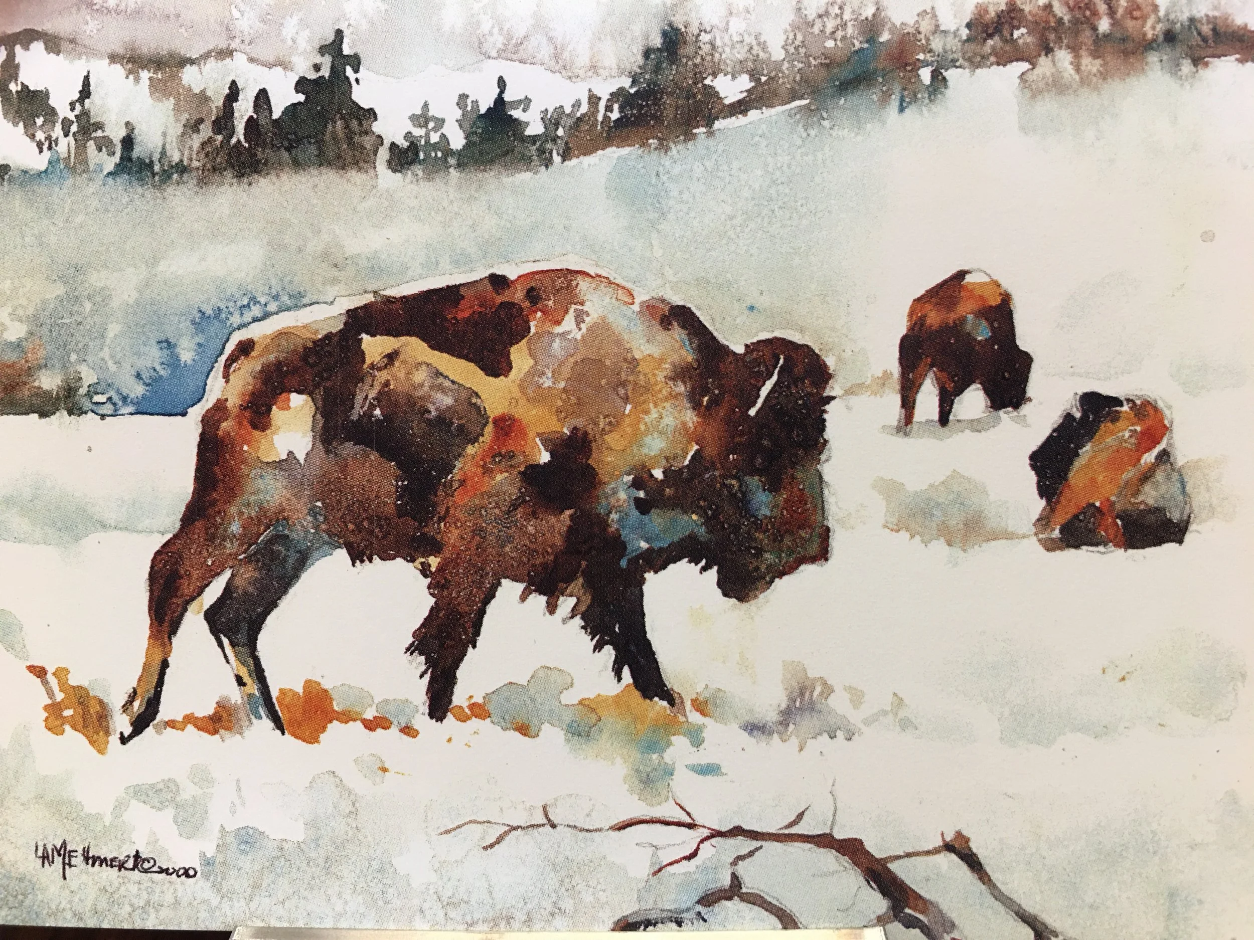 Buffalo Three07205.JPG