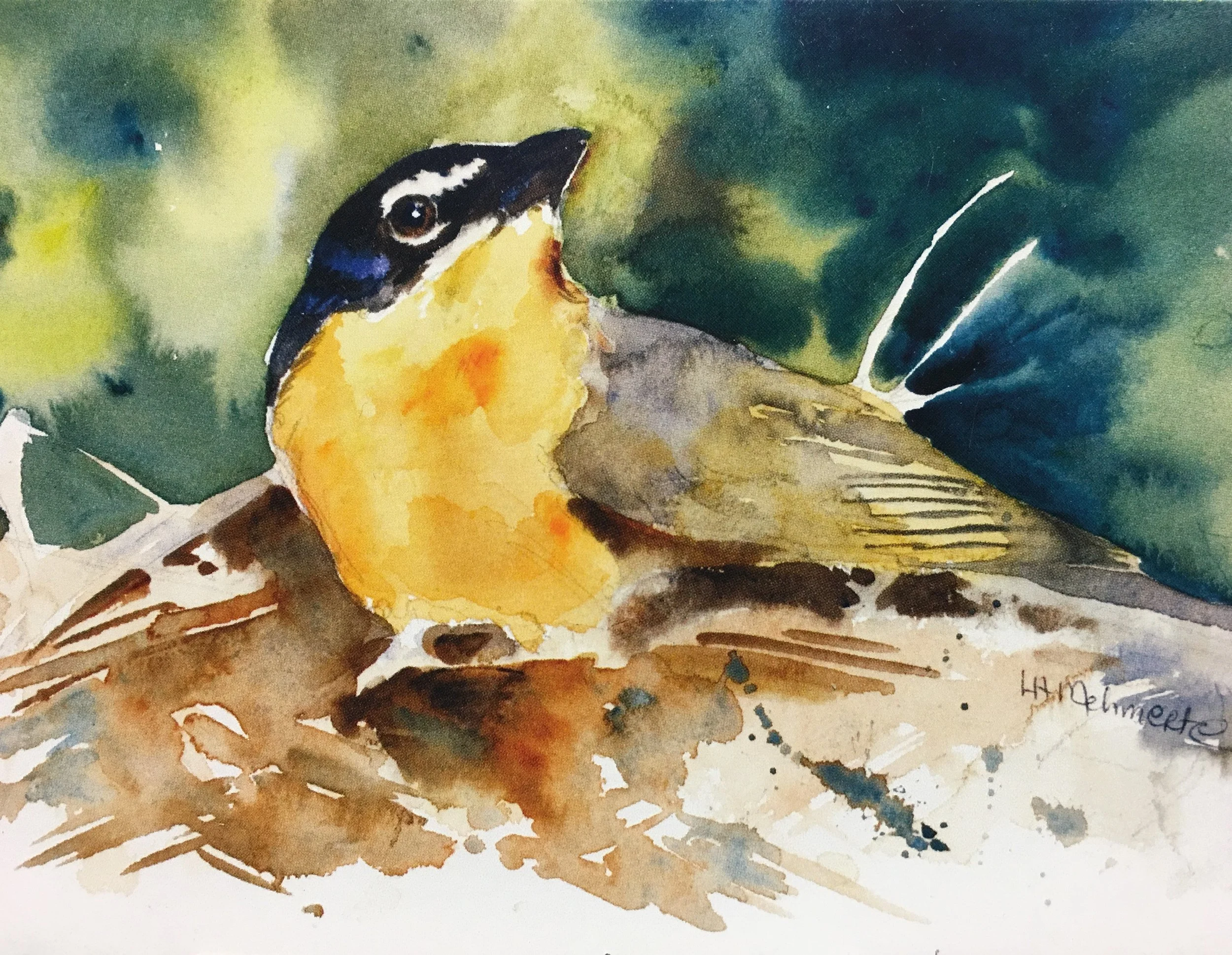 Baltimore Oriole01625_5911.JPG