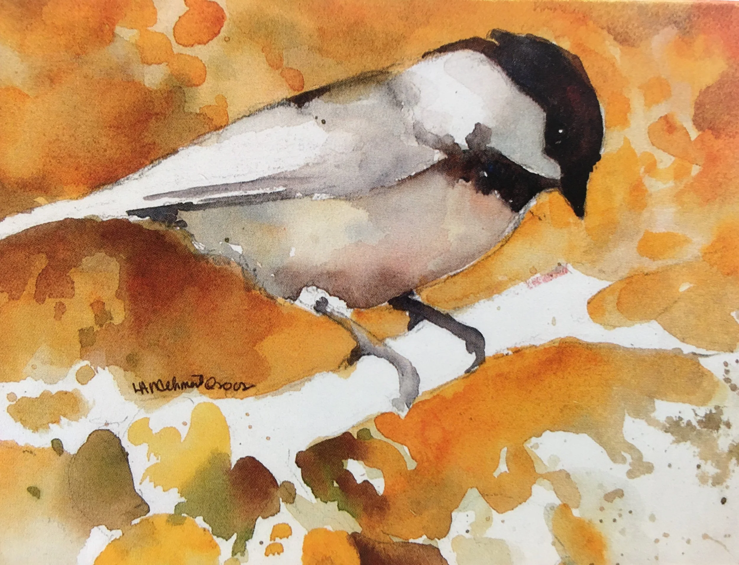 Black Capped Chickadee01319_5273.JPG