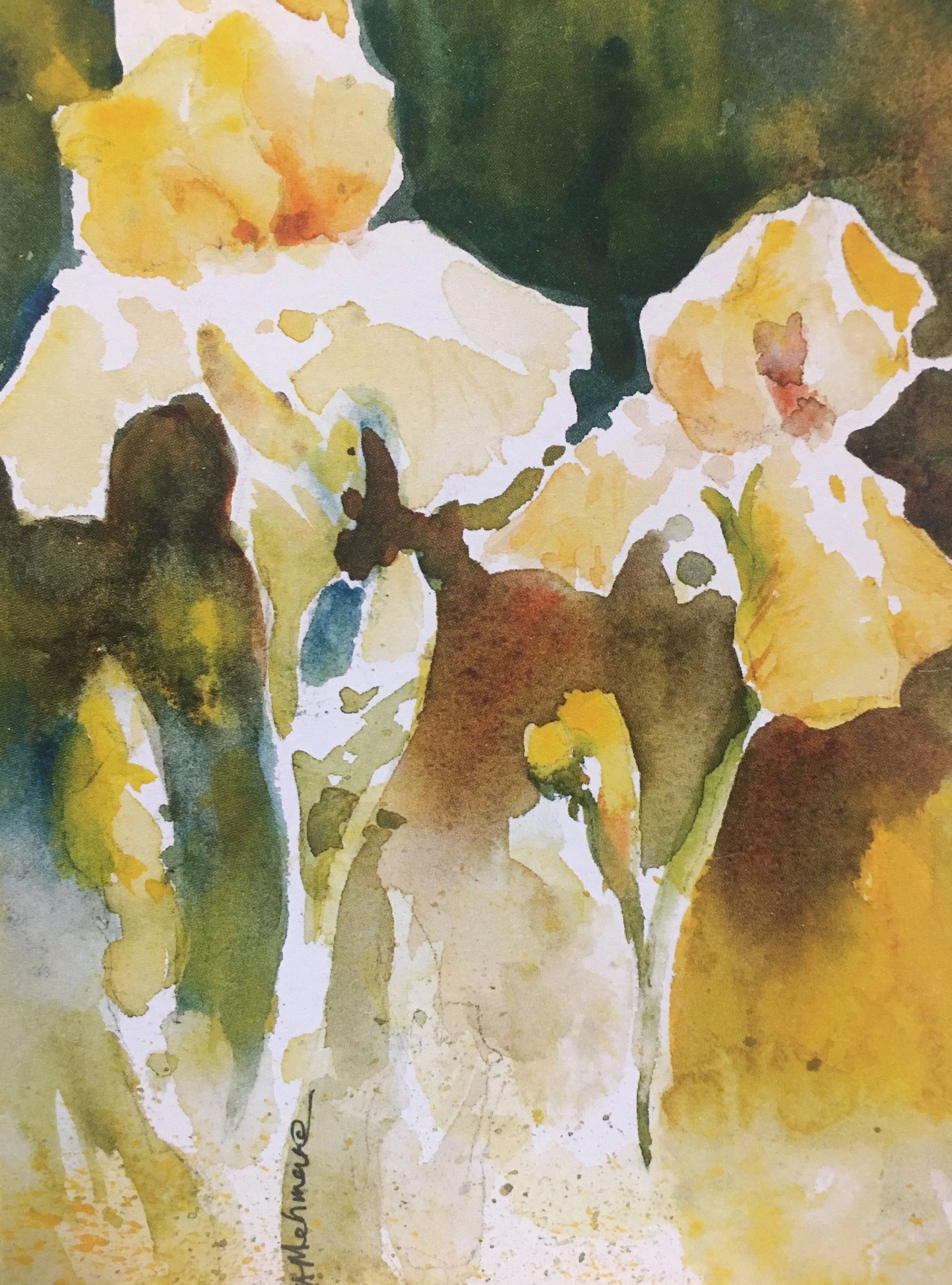 Two Yellow Iris06595.JPG