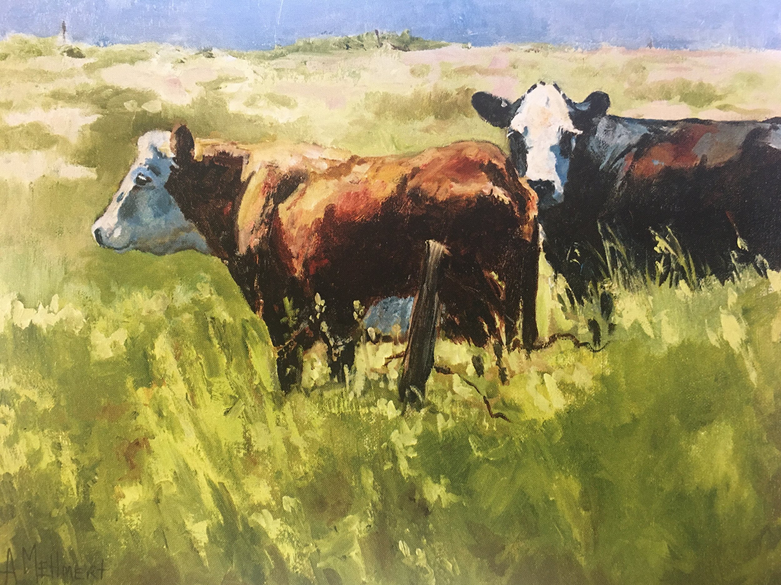 Grazing in the Grass07923.JPG