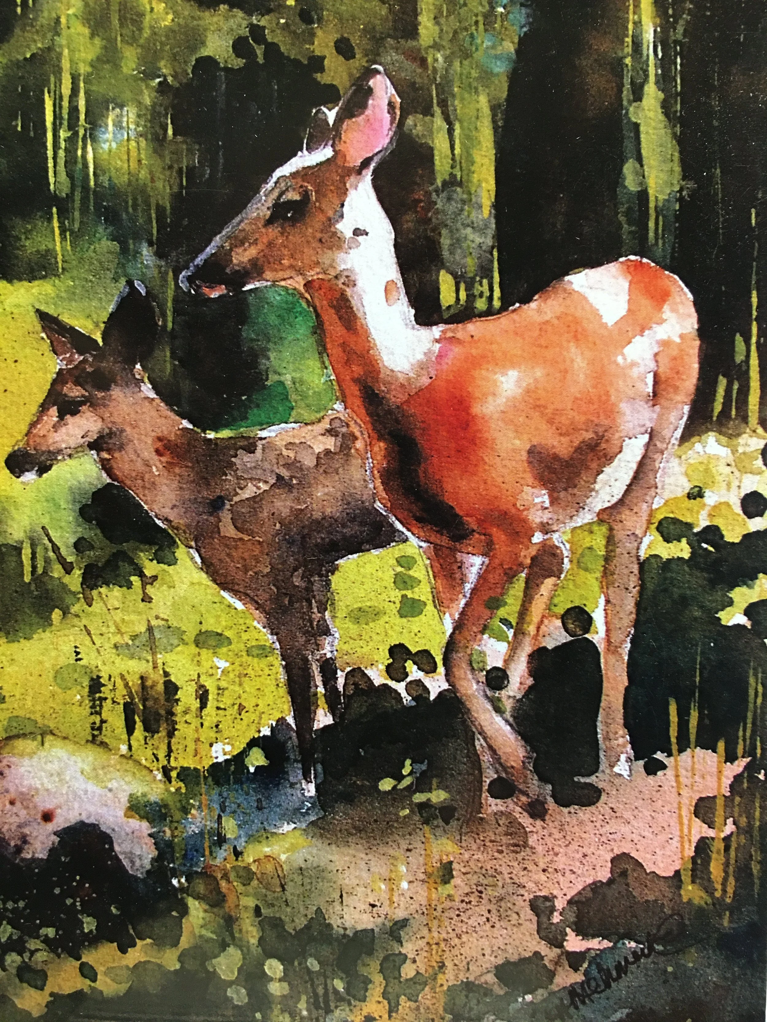 Two Deer in Clearing01462_5553.JPG