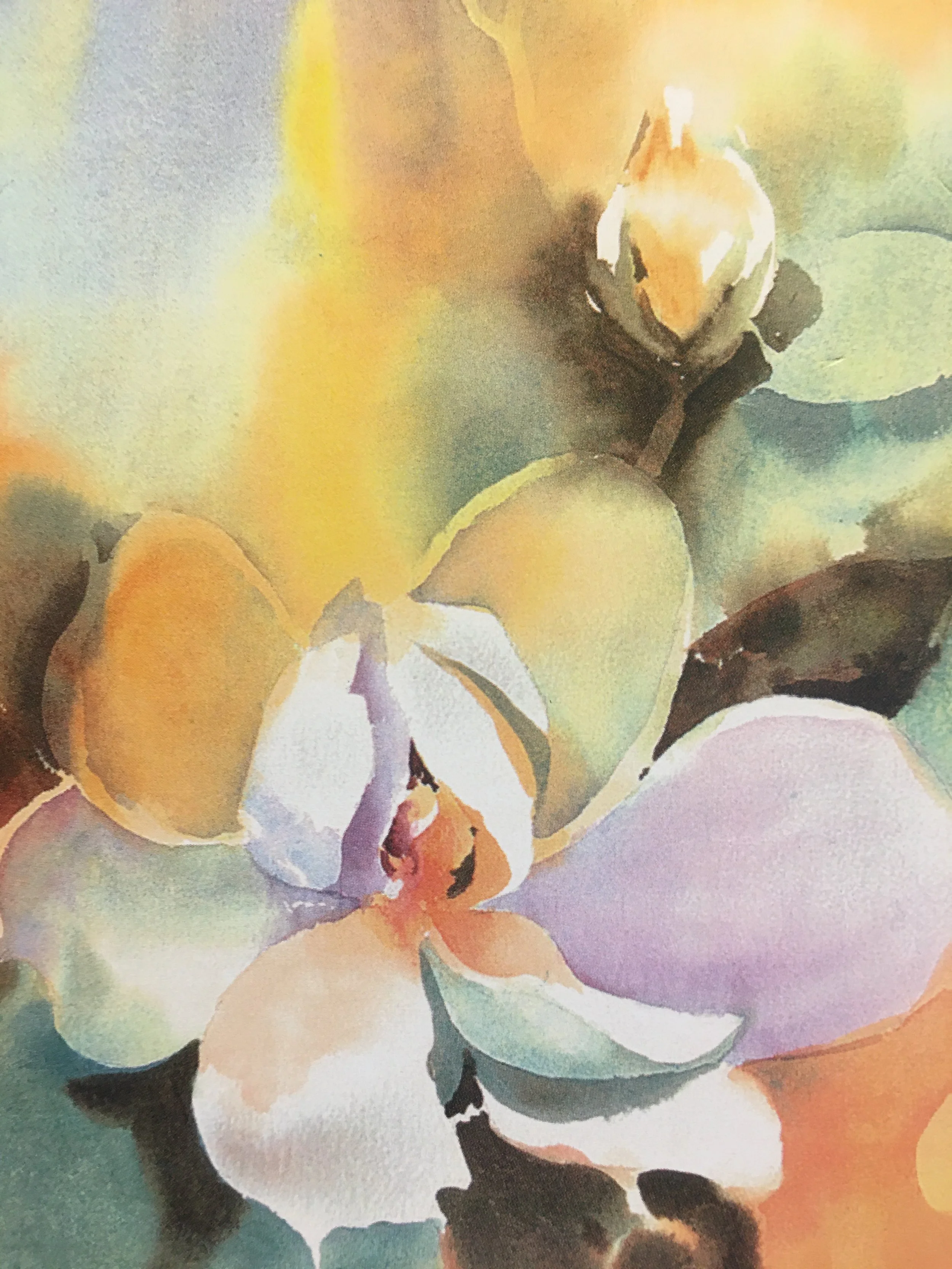 Magnolia SLC06103.JPG