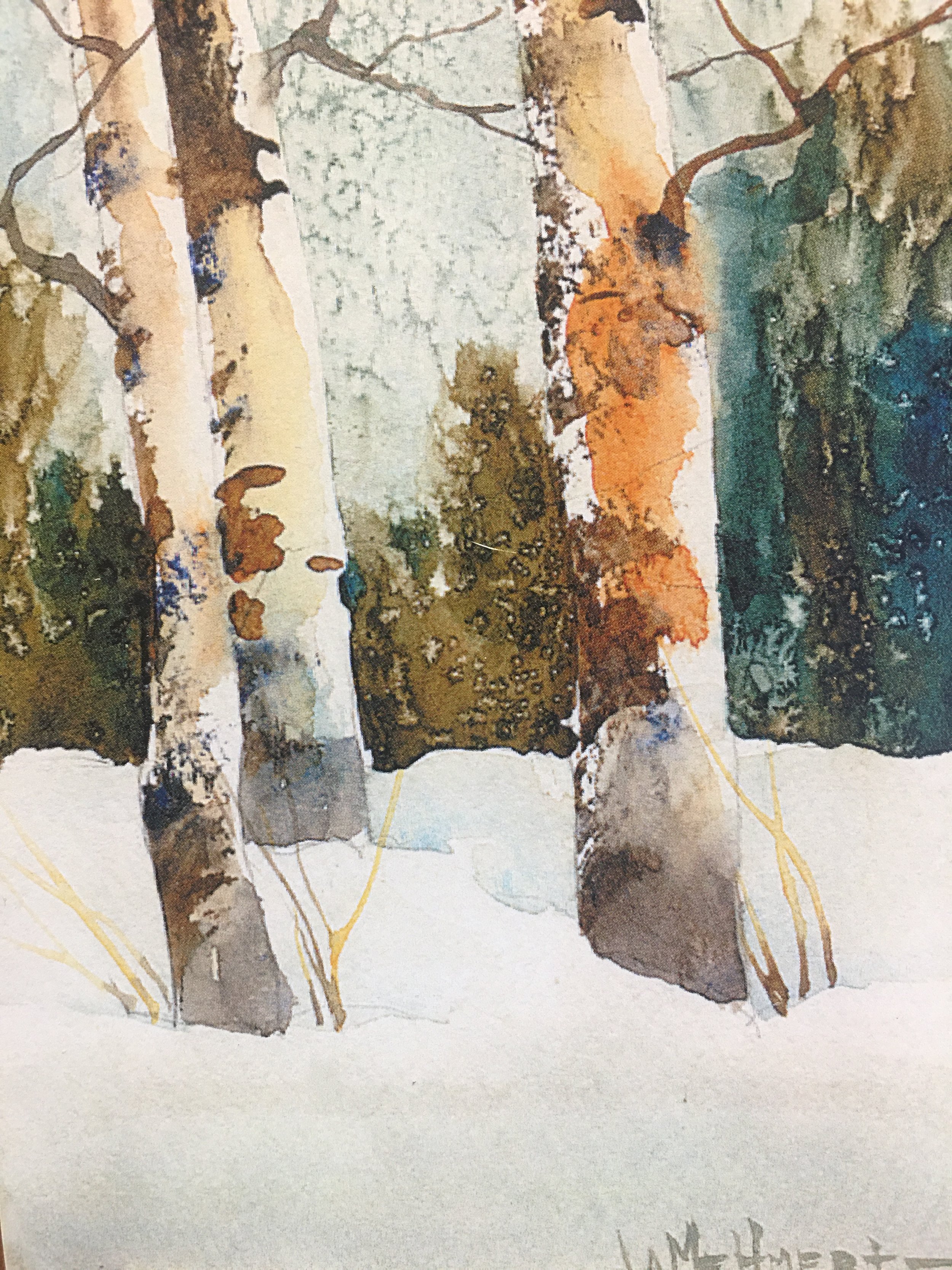 Aspen Three05070.JPG