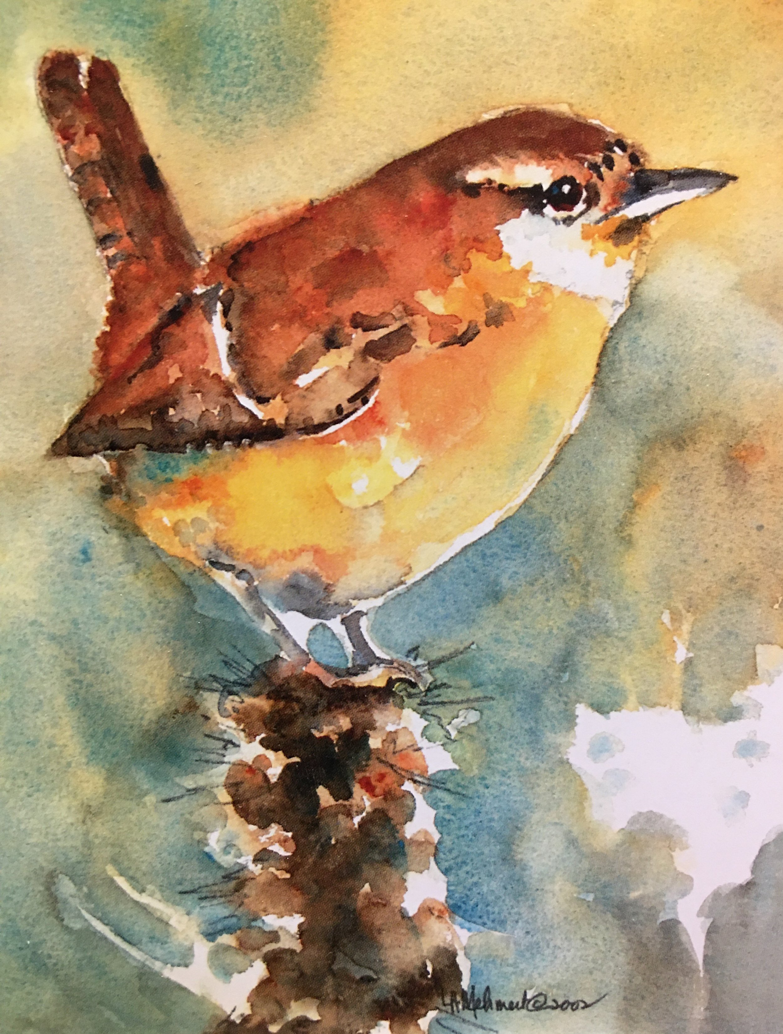 Carolina Wren01370_5522.JPG