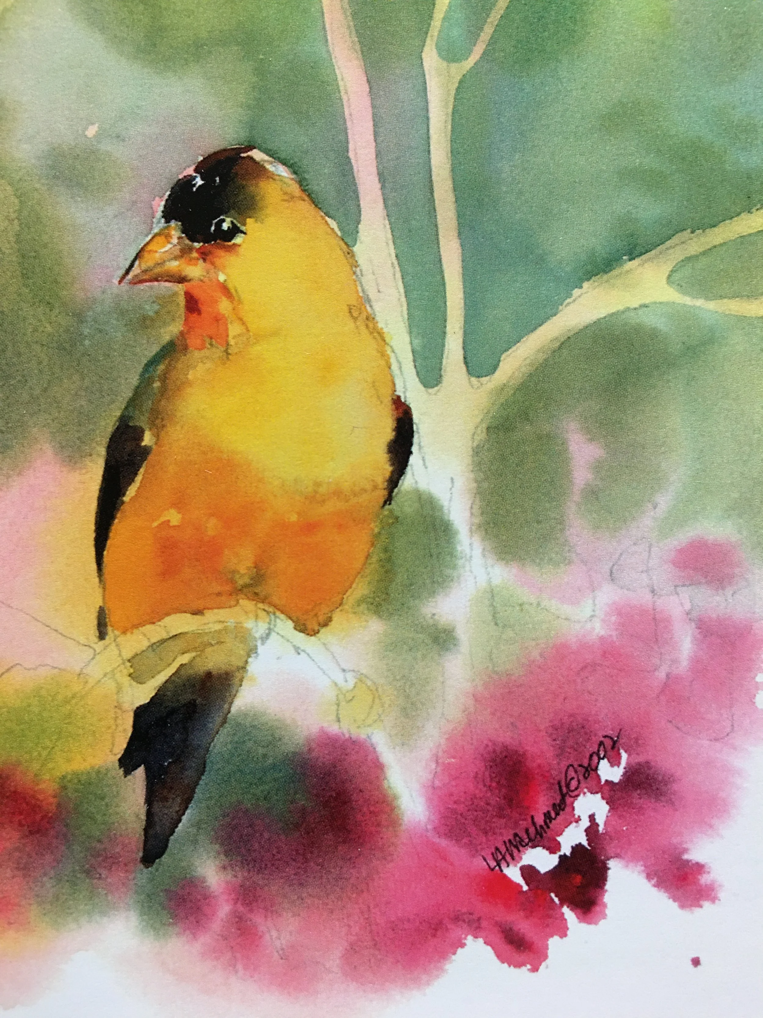 American Goldfinch01360_5536.JPG